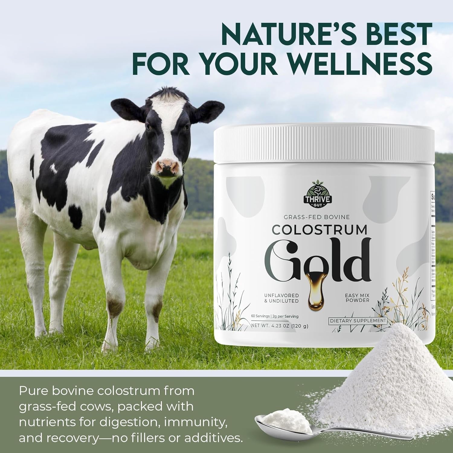 Colostrum Gold - Premium Grass-Fed Bovine Colostrum Powder Supplement for Immunity, Gut Health, Muscle & Wellness 60 Servings