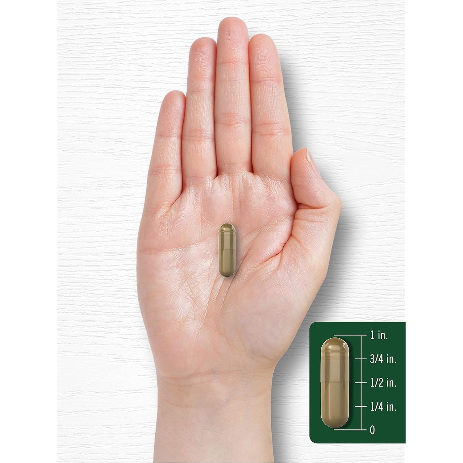 Carlyle Yellow Dock Root Capsules 1500Mg | 200 Count