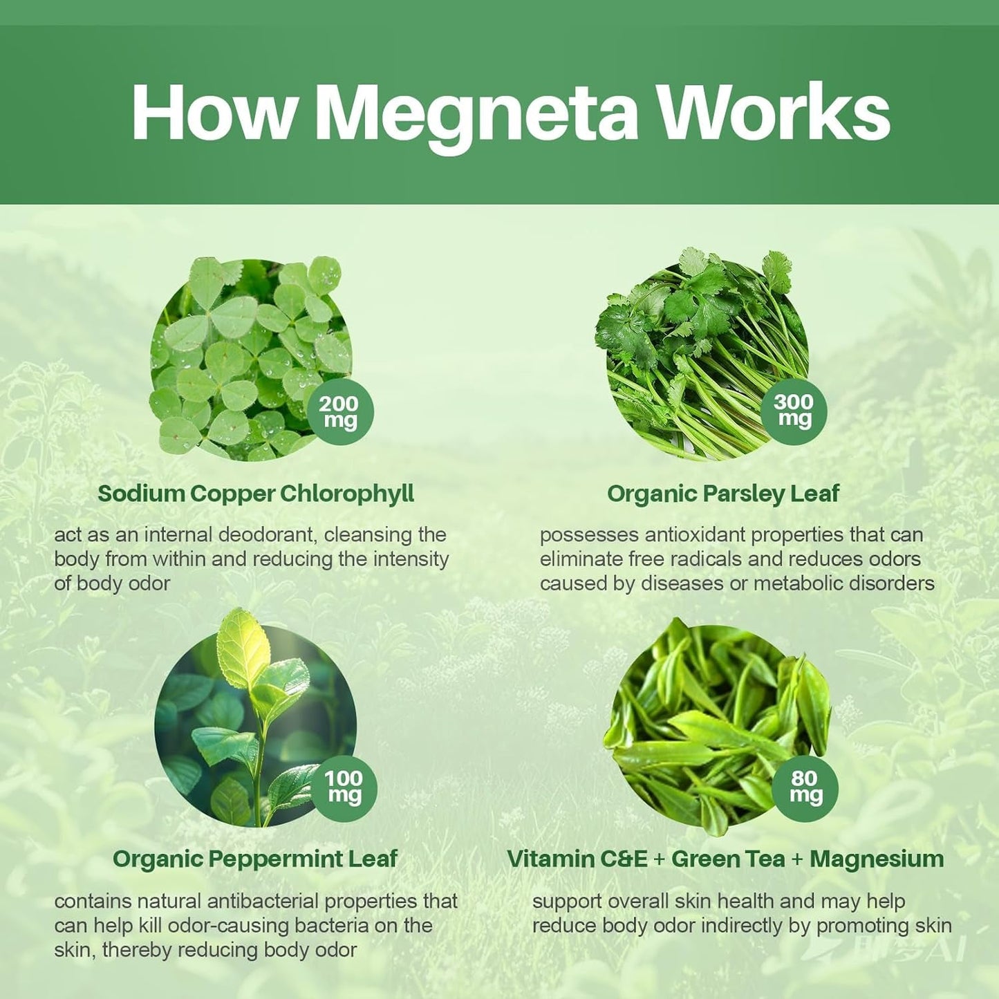 Body Deodorizing Supplement, Natural Internal Odor Control Pills for Men & Women (60 Capsules)