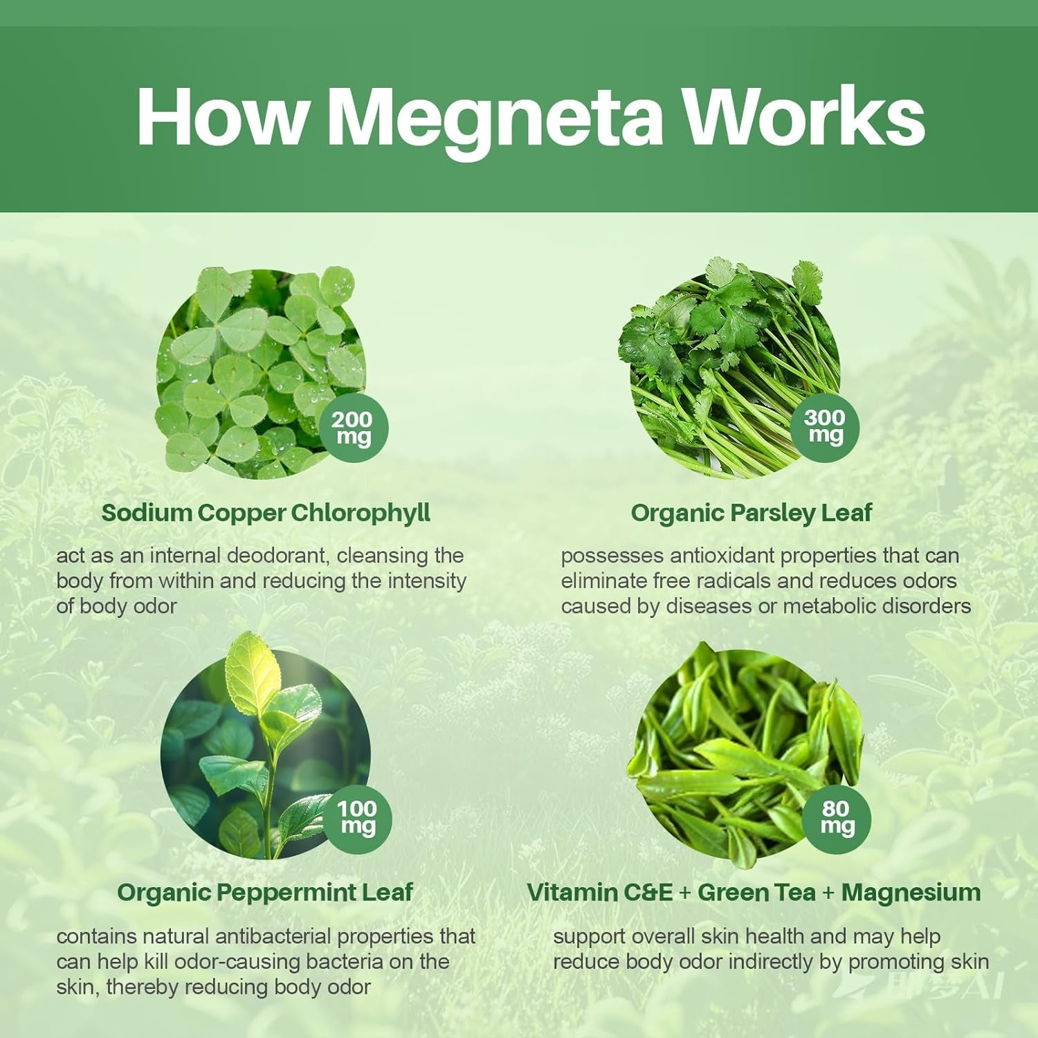 Body Deodorizing Supplement, Natural Internal Odor Control Pills for Men & Women (60 Capsules)