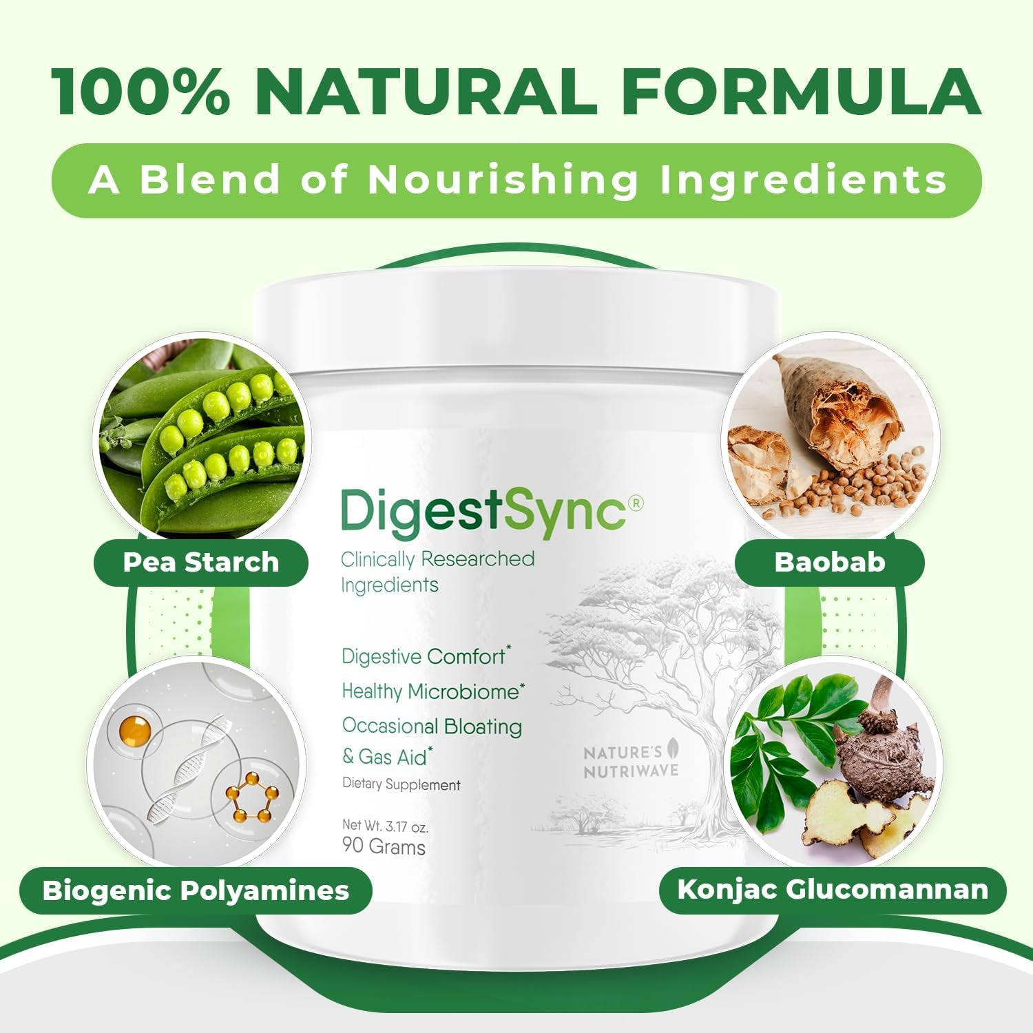 Digestsync Digestion Supplement for Gut Health - Natural Powder for Digestive Support, Bloating Relief 1 Month Supply