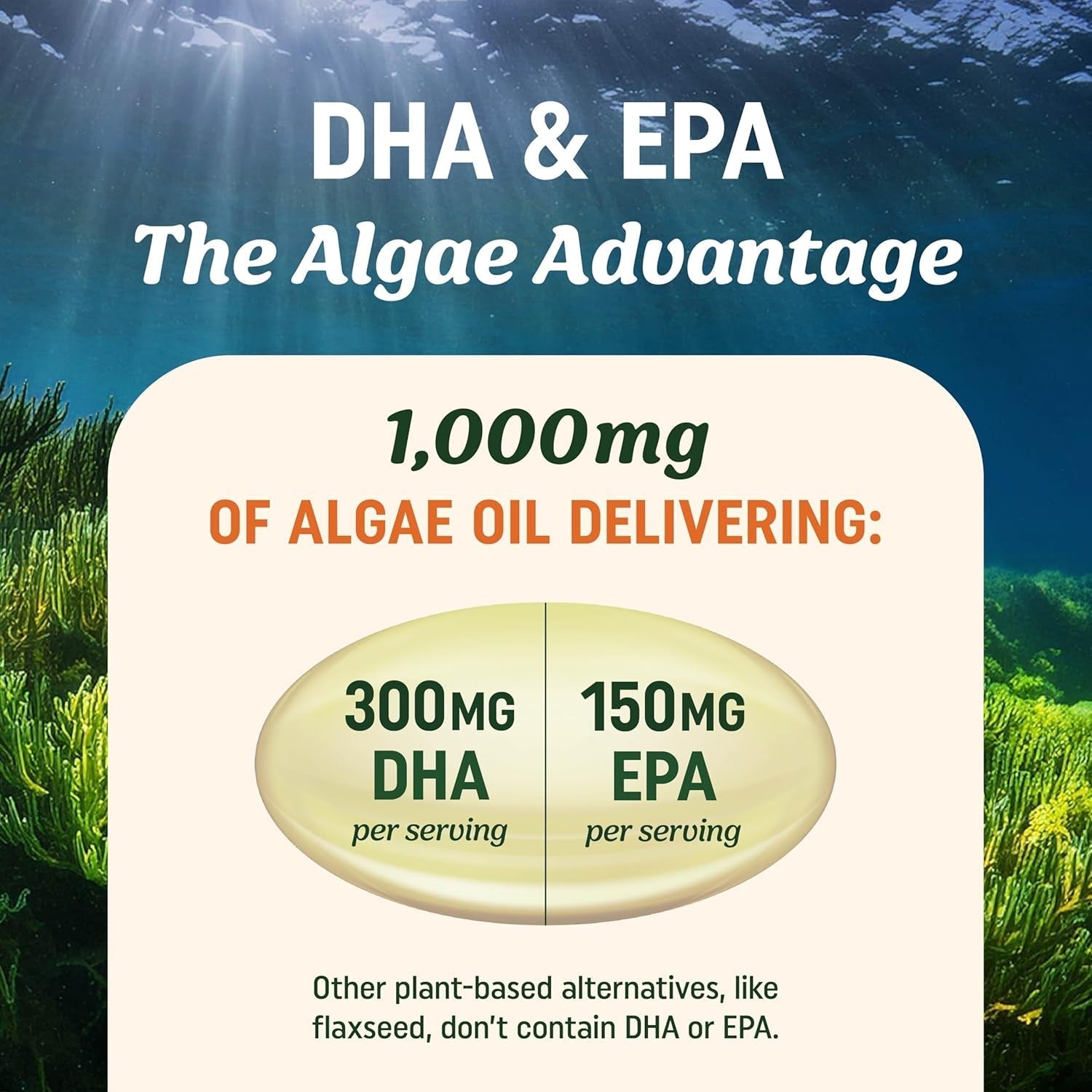 Vegan Omega 3 Algae Oil | Plant Based DHA EPA | Heart, Brain, and Eye Health 60 Softgel Capsules