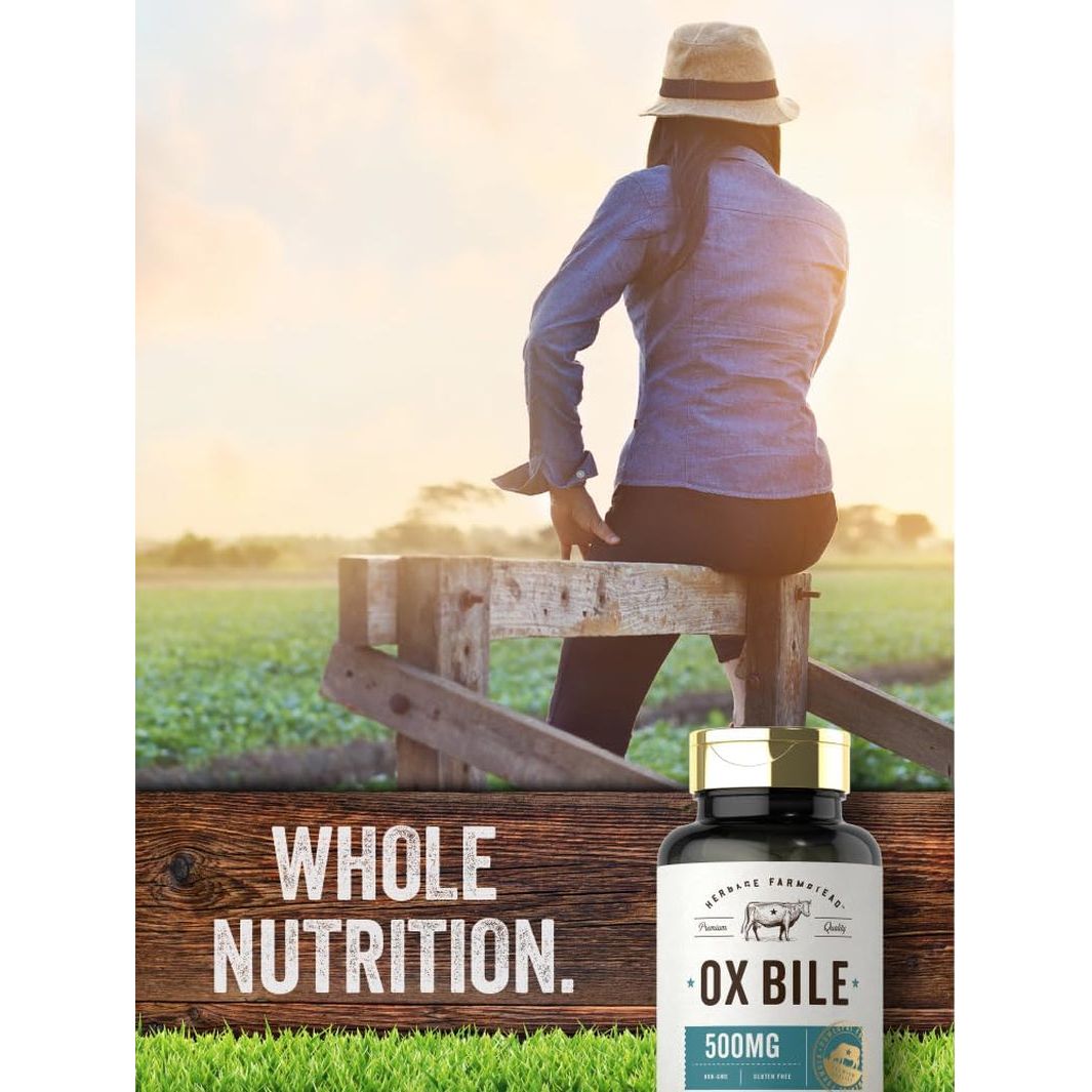 Carlyle Ox Bile Supplement | 500Mg | 60 Capsules | Digestive Enzyme by Herbage Farmstead