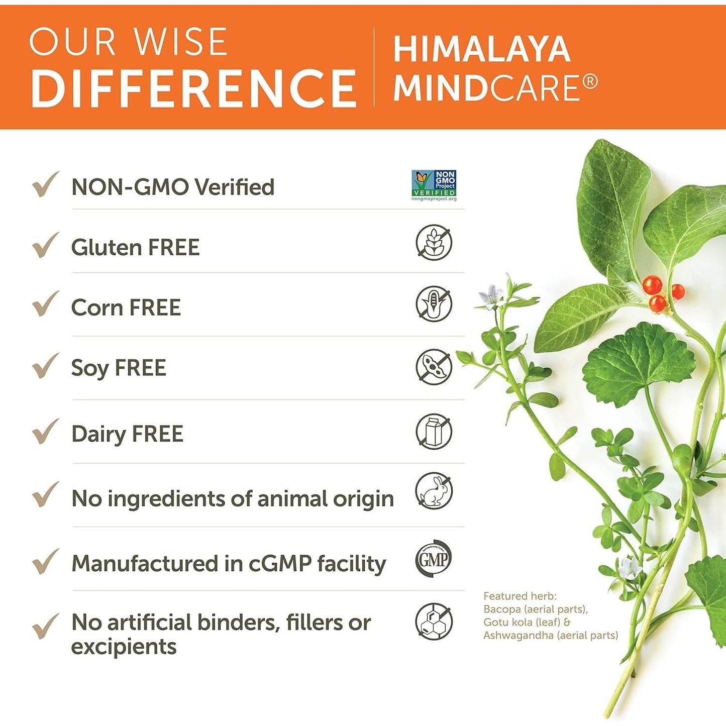 Himalaya Mindcare, Nootropic Brain Supplement Booster 1170 Mg, 120 Capsules