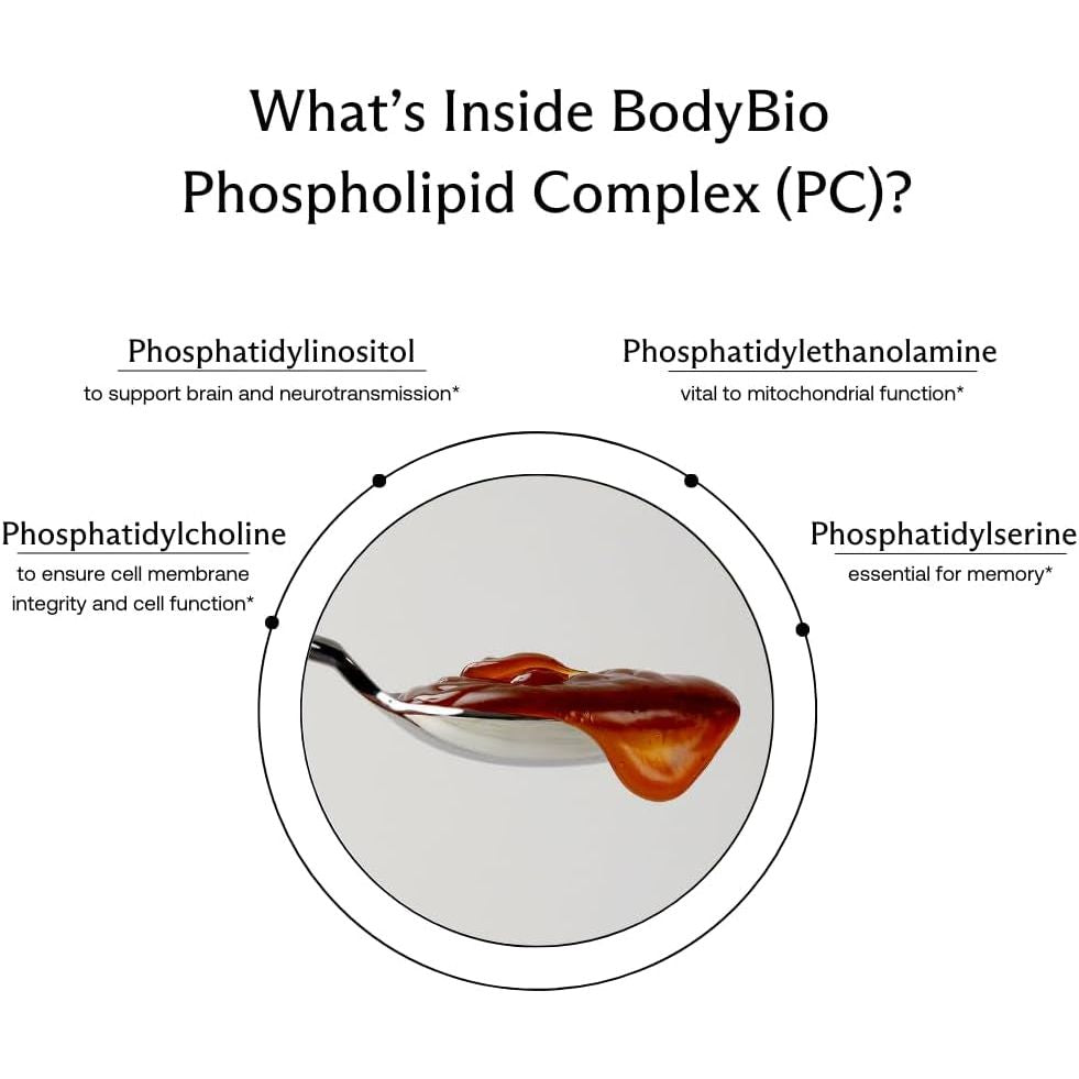 Bodybio Brain Supplement 4 Oz. - Phospholipid Complex for Healthy Aging | Nootropics Booster