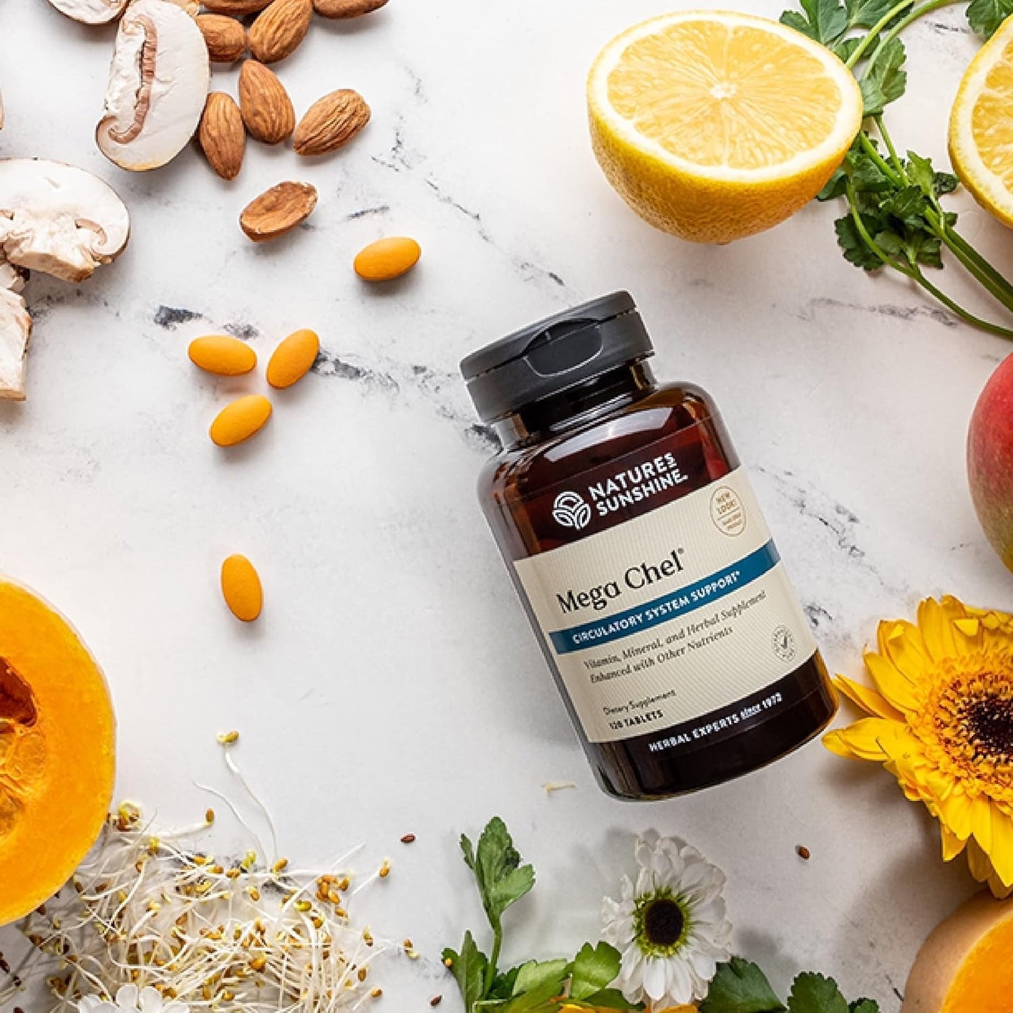 Nature'S Sunshine Mega-Chel, Complete Vitamin with Powerful Antioxidants, Herbs, Vitamins, Minerals, and Amino Acids 120 Tablets