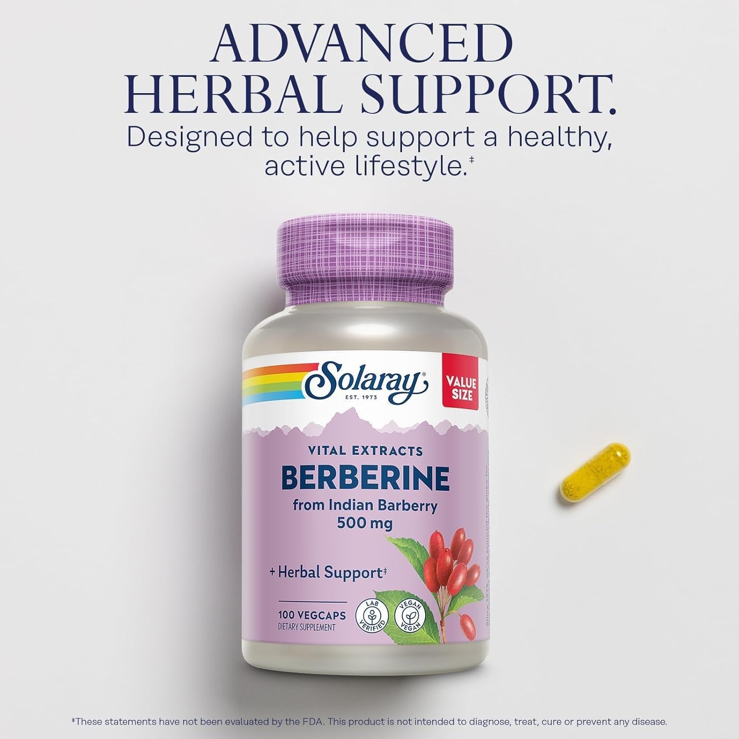 SOLARAY Berberine 500Mg for a Healthy, Active Lifestyle 100 Servings