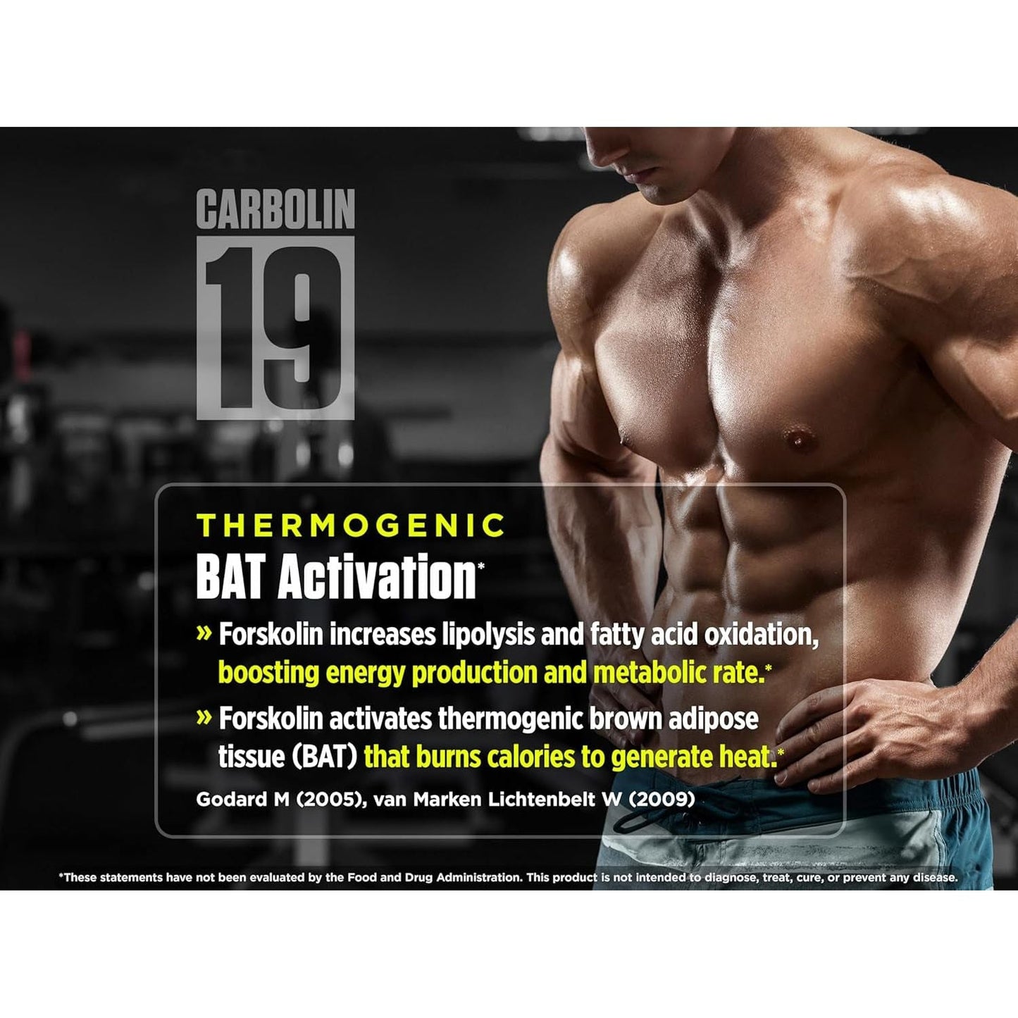 Biotest Carbolin 19 - Advanced Forskolin Carbonate for Fat Loss & Metabolic Performance - 60 Softgels