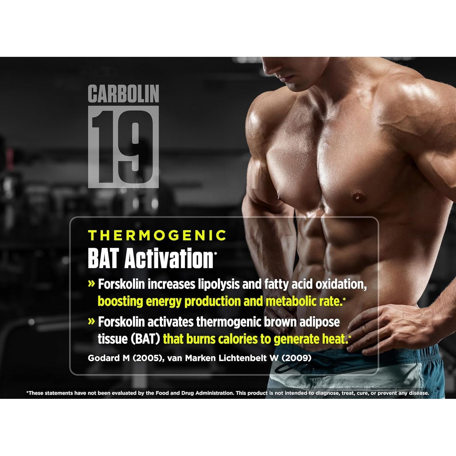 Biotest Carbolin 19 - Advanced Forskolin Carbonate for Fat Loss & Metabolic Performance - 60 Softgels