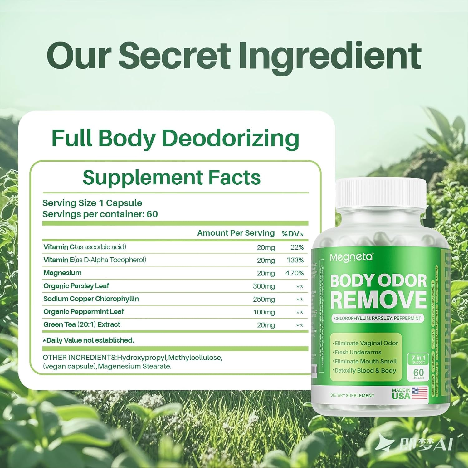 Body Deodorizing Supplement, Natural Internal Odor Control Pills for Men & Women (60 Capsules)