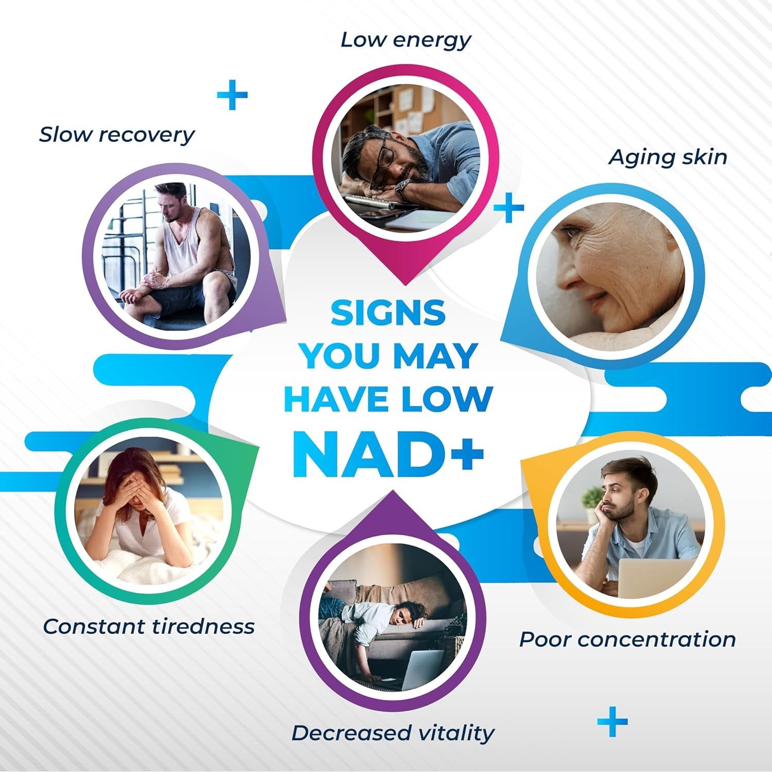 Liposomal NAD+ Trans-Resveratrol with Red Wine Milk Thistle Quercetin Fisetin - Healthy Aging Support - Made in the USA