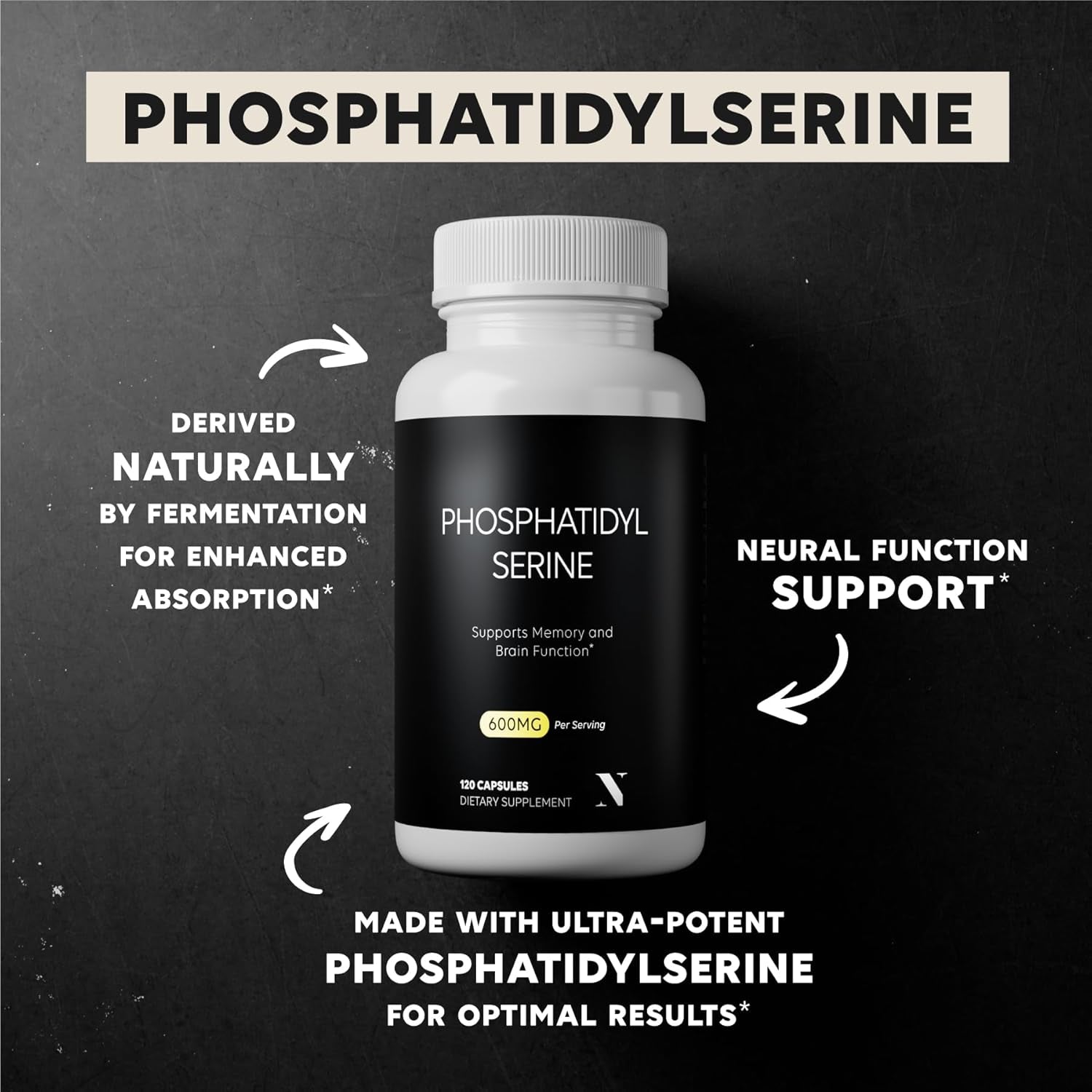 Newt Phosphatidylserine Supplement 600M - Brain Food, Neural Function and Stress Support 120 Capsules
