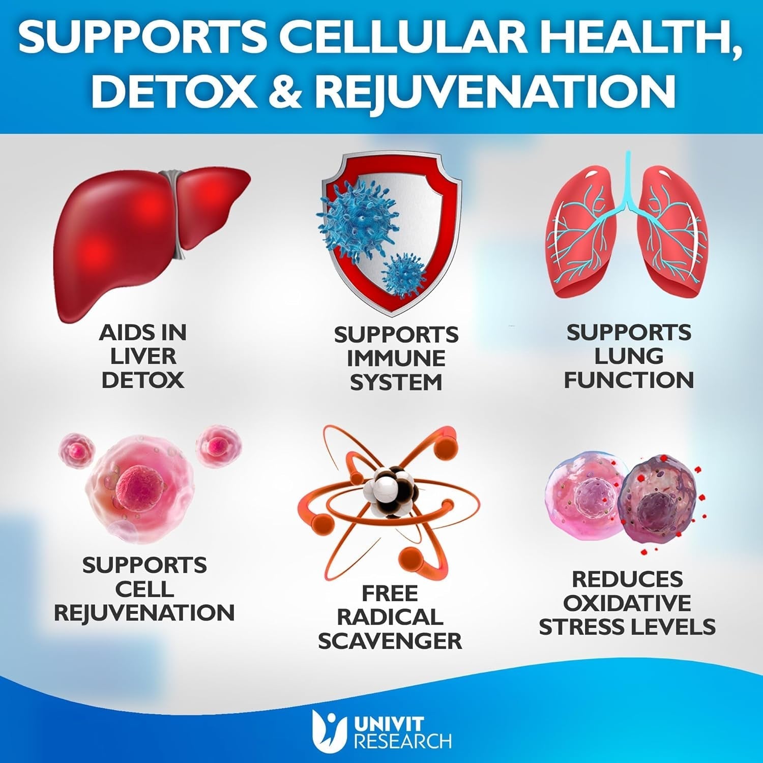 Advanced Complex-Nac Supplement - Potent Antioxidant-Immune Function Support Respiratory Health-Promotes Liver Kidney Detox