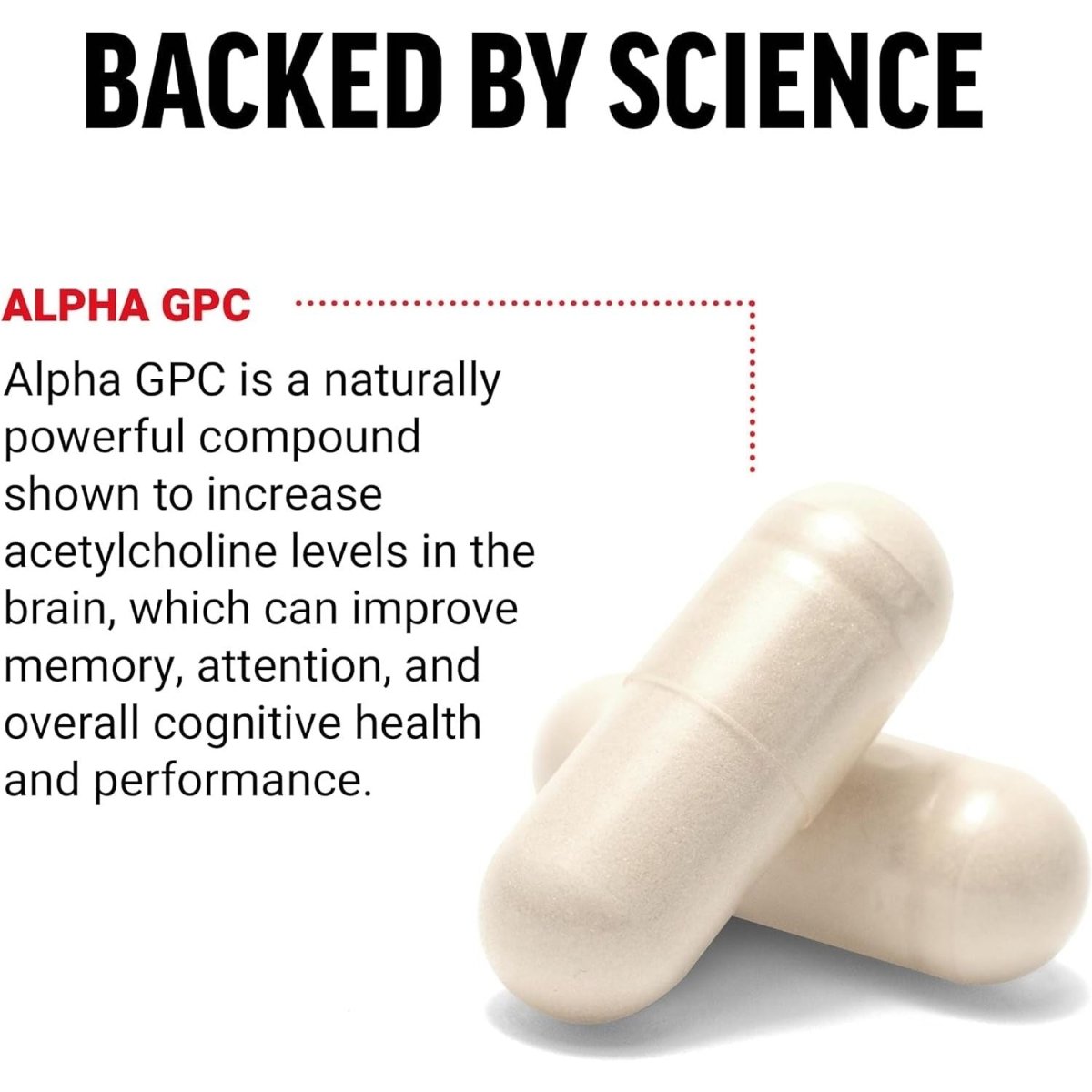 FORCE FACTOR Alpha GPC Brain Supplement for Memory and Focus, Mood Support Supplement with Alpha GPC 300Mg, 60 Capsules - Suppviv