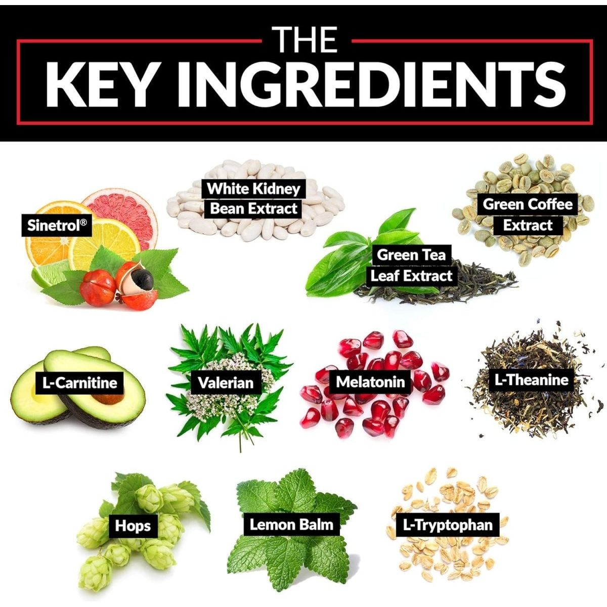 Force Factor Leanfire PM Weight Loss Pills Fat Burner & Overnight Weight Loss Pills - 60 Capsules - Suppviv