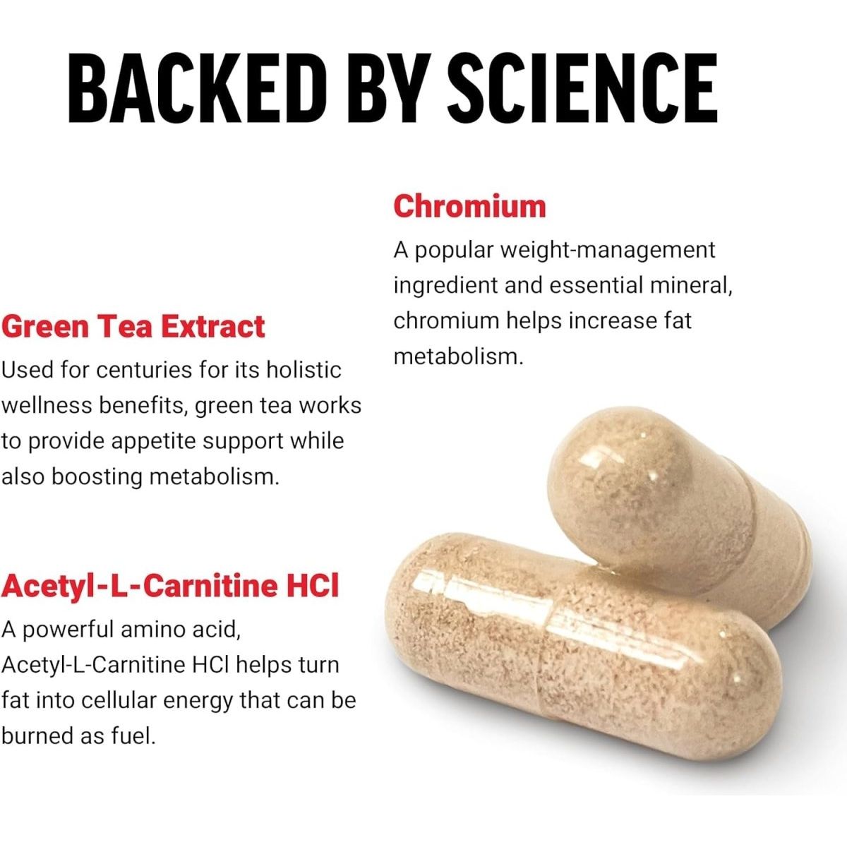 FORCE FACTOR Women’S Fat Burner & Metabolism Booster 60 Capsules - Suppviv