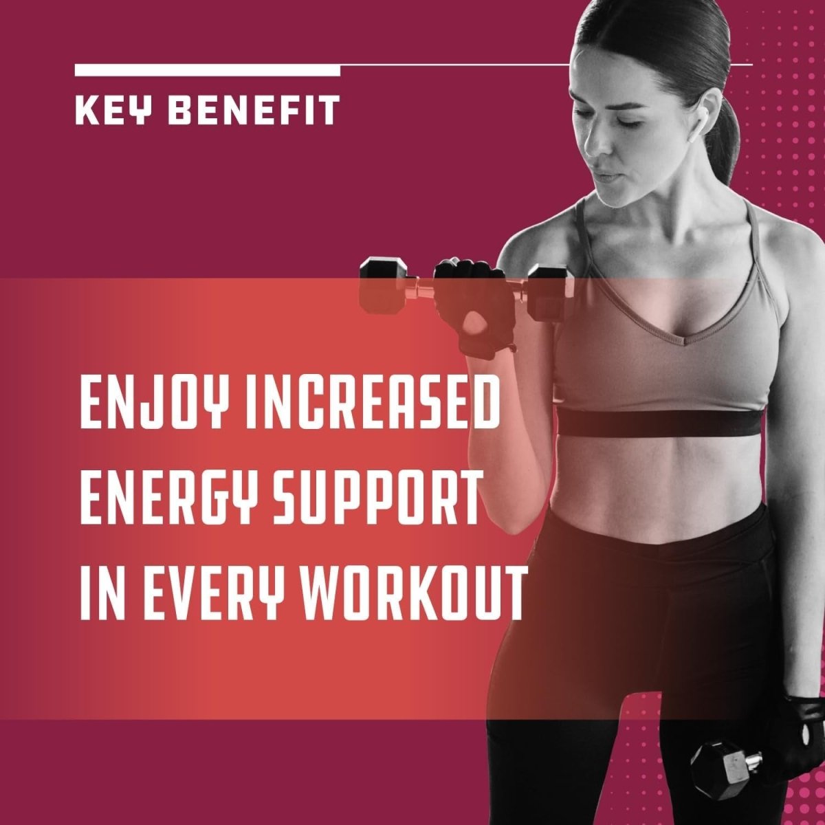 Forskolin Weight Loss Supplement Fat Burner for Men & Women 60 Capsules - Suppviv