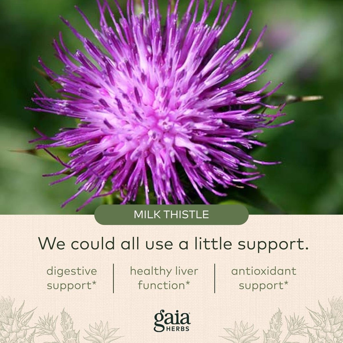 Gaia Herbs Liver Cleanse - Liver Health Support Herbal Supplement (30 Servings) - Suppviv