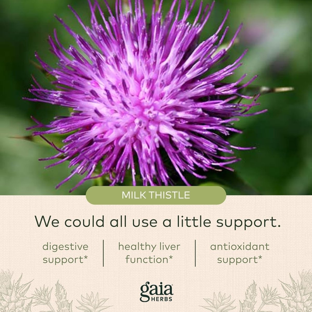 Gaia Herbs Milk Thistle - Liver Supplement & Cleanse Support 120 Capsules - Suppviv