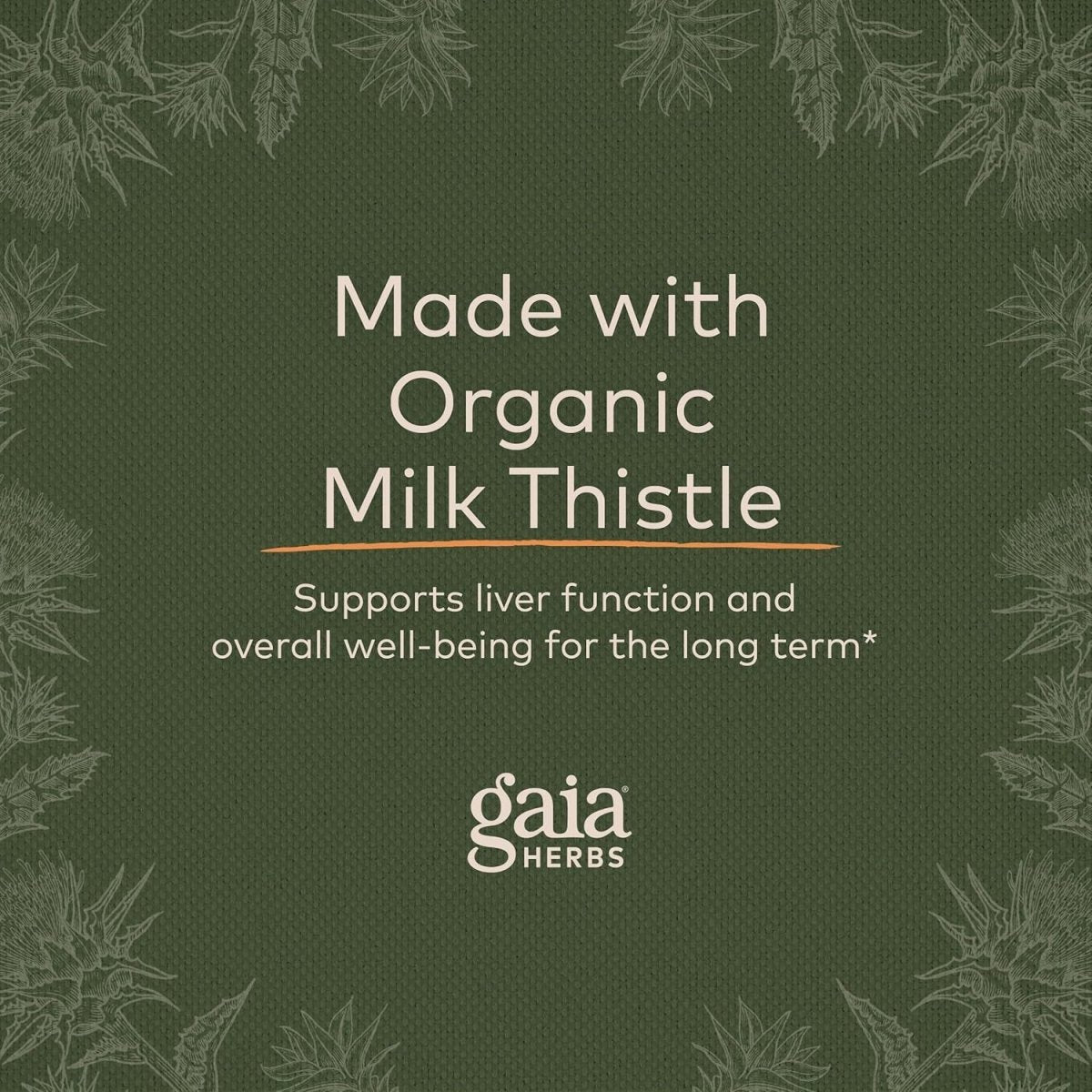 Gaia Herbs Milk Thistle - Liver Supplement & Cleanse Support 120 Capsules - Suppviv