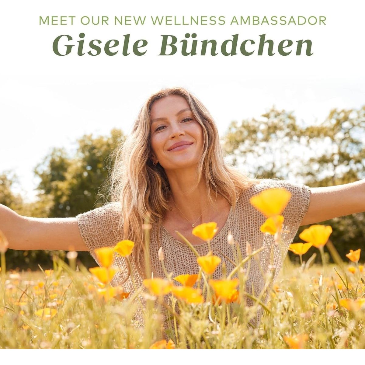 Gaia Herbs Milk Thistle - Liver Supplement & Cleanse Support 120 Capsules - Suppviv