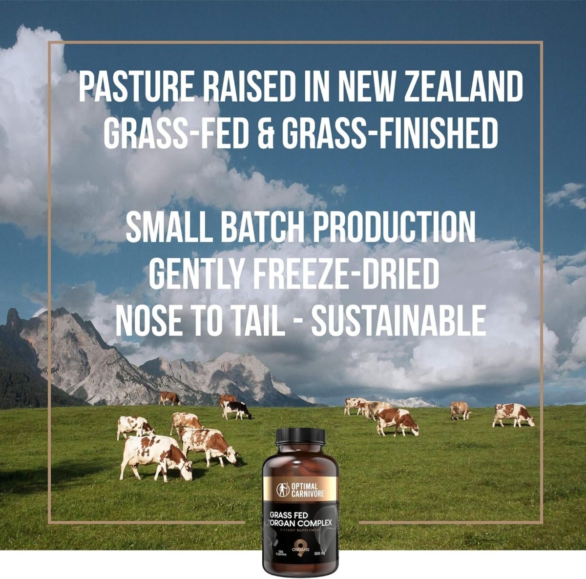 Grass Fed Organ Complex - 9 Organs - Beef Liver, Brain, Thymus, Lung, Gallbladder - Suppviv