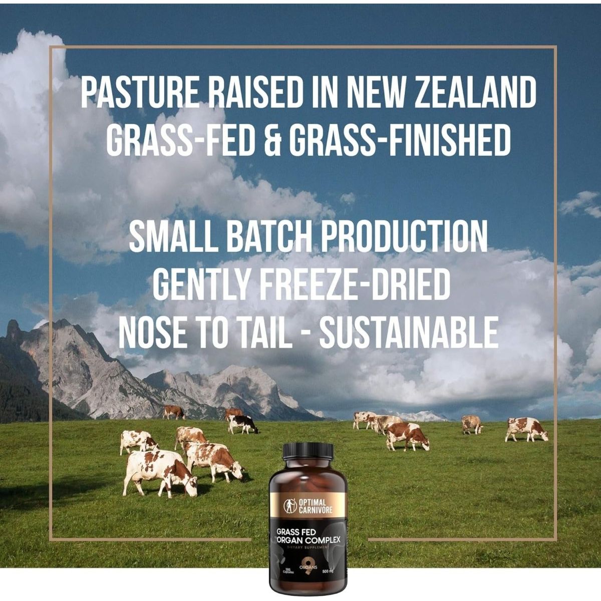 Grass Fed Organ Complex - 9 Organs - Beef Liver, Brain, Thymus, Lung, Gallbladder - Suppviv