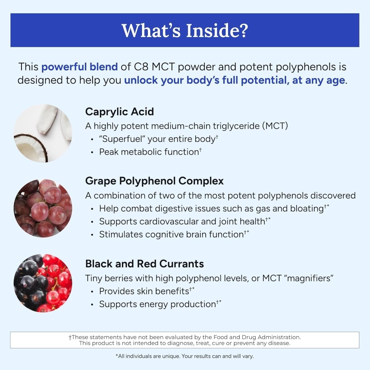 Gundry MD MCT Wellness Powder to Support Energy, Ketone Production and Brain Health,(30 Servings) - Suppviv