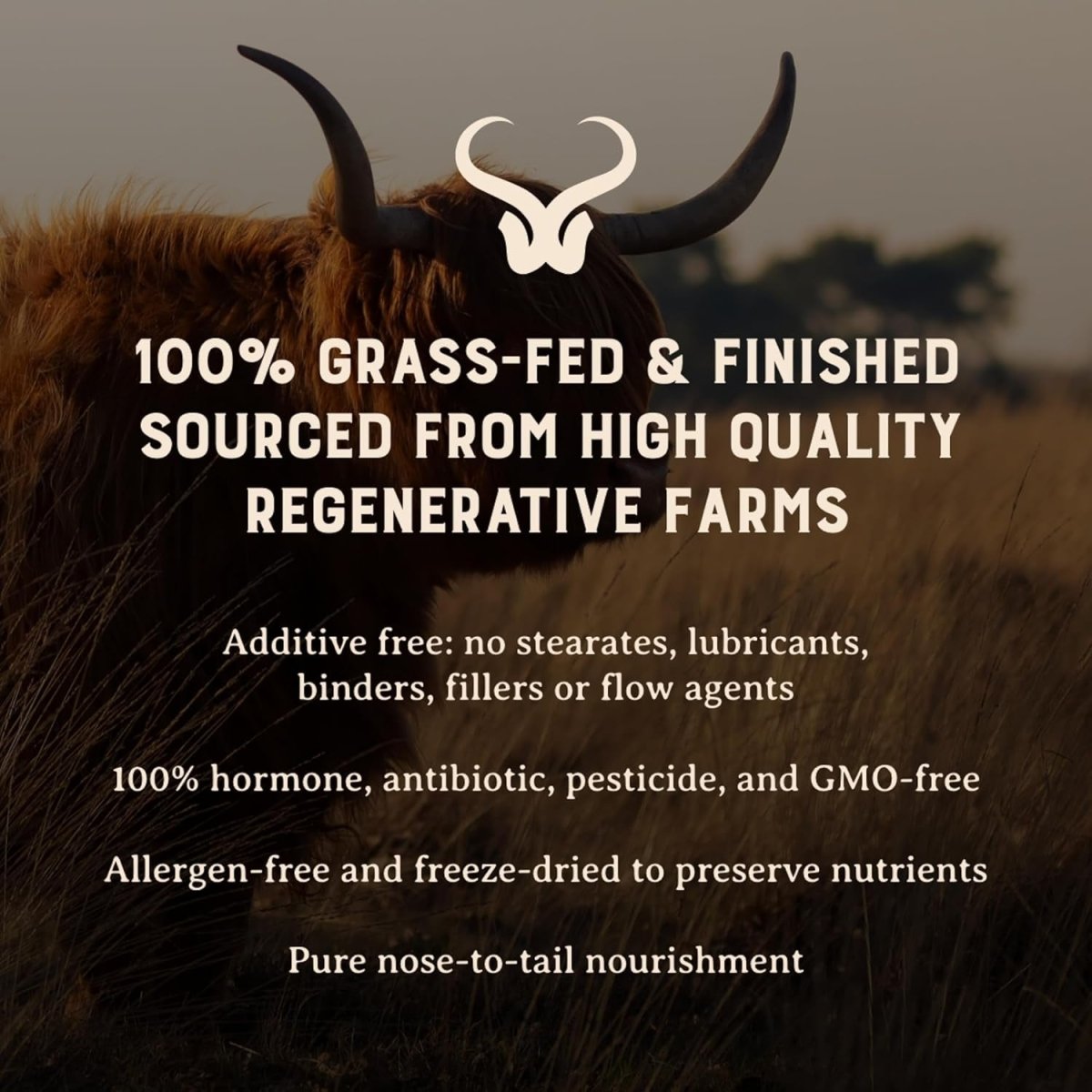 HEART & SOIL Beef Organs Complex — Grass Fed Liver,Heart,Kidney,Pancreas,and Spleen (180 Capsules) - Suppviv