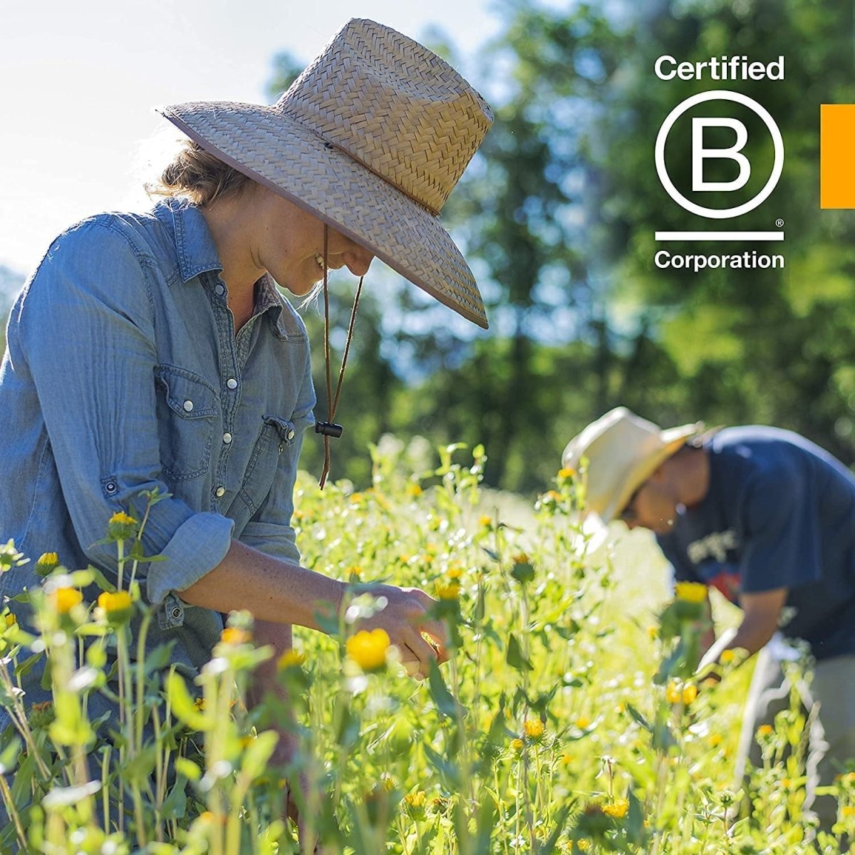 Herb Pharm Liver Health Herbal Formula for Liver and Gallbladder Support - 1 Ounce - Suppviv