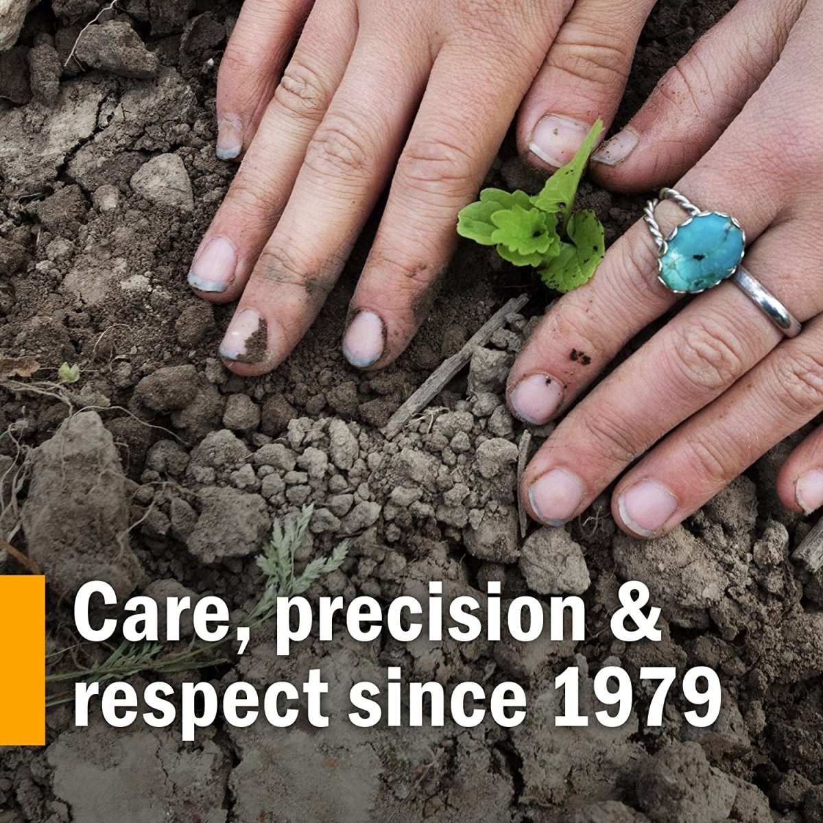 Herb Pharm Liver Health Herbal Formula for Liver and Gallbladder Support - 1 Ounce - Suppviv