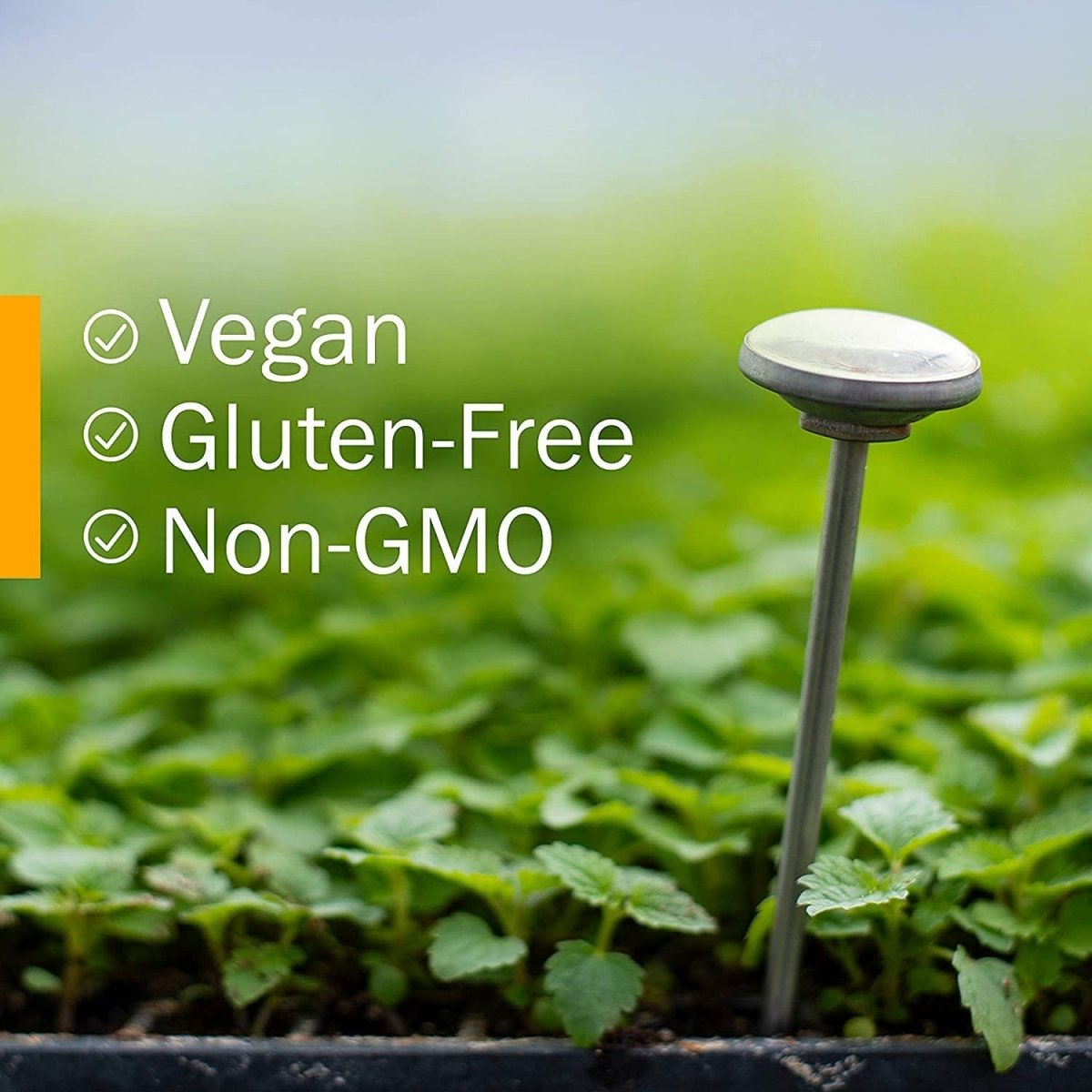 Herb Pharm Liver Health Herbal Formula for Liver and Gallbladder Support - 1 Ounce - Suppviv