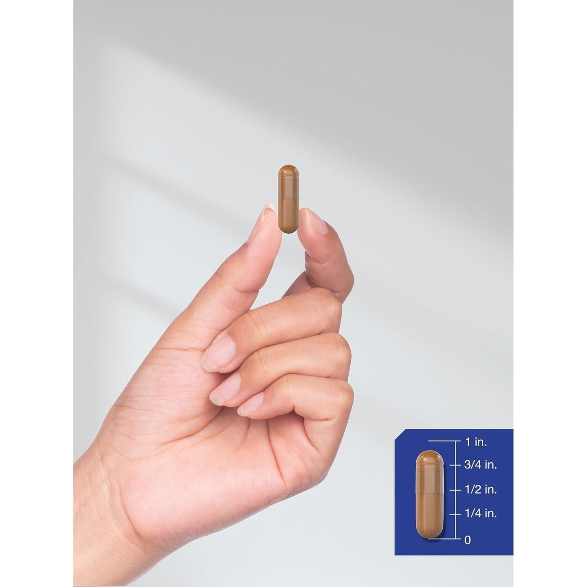 Horbäach Alpha GPC 600Mg | 120 Capsules | Choline Supplement | Supports Healthy Memory, Focus and Clarity - Suppviv