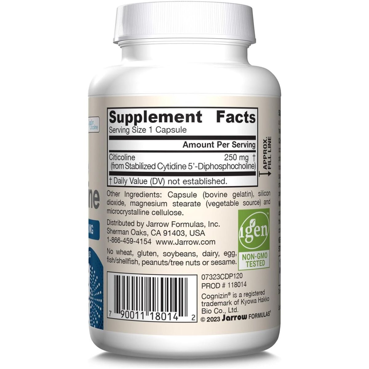 Jarrow Formulas Citicoline CDP Choline 250 MG, CDP Choline Supplement Supports Brain Health 120 Capsules - Suppviv