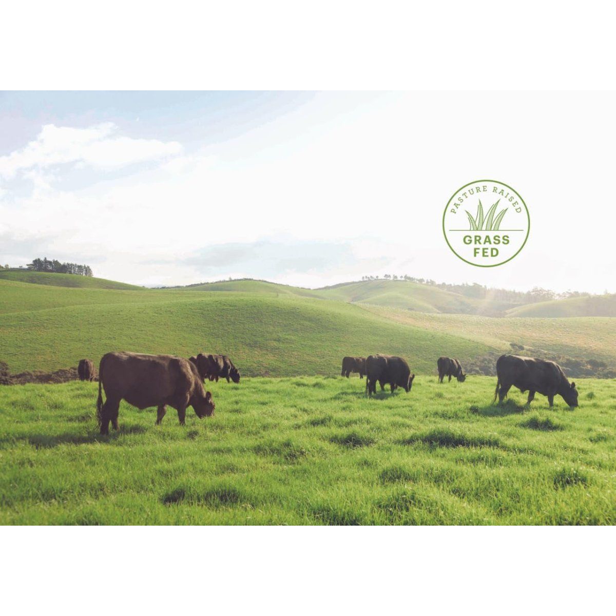 Just Liver, Grass - Fed and Pasture Raised Beef Liver Capsules, 3000Mg per Serving, 120 Count - Suppviv