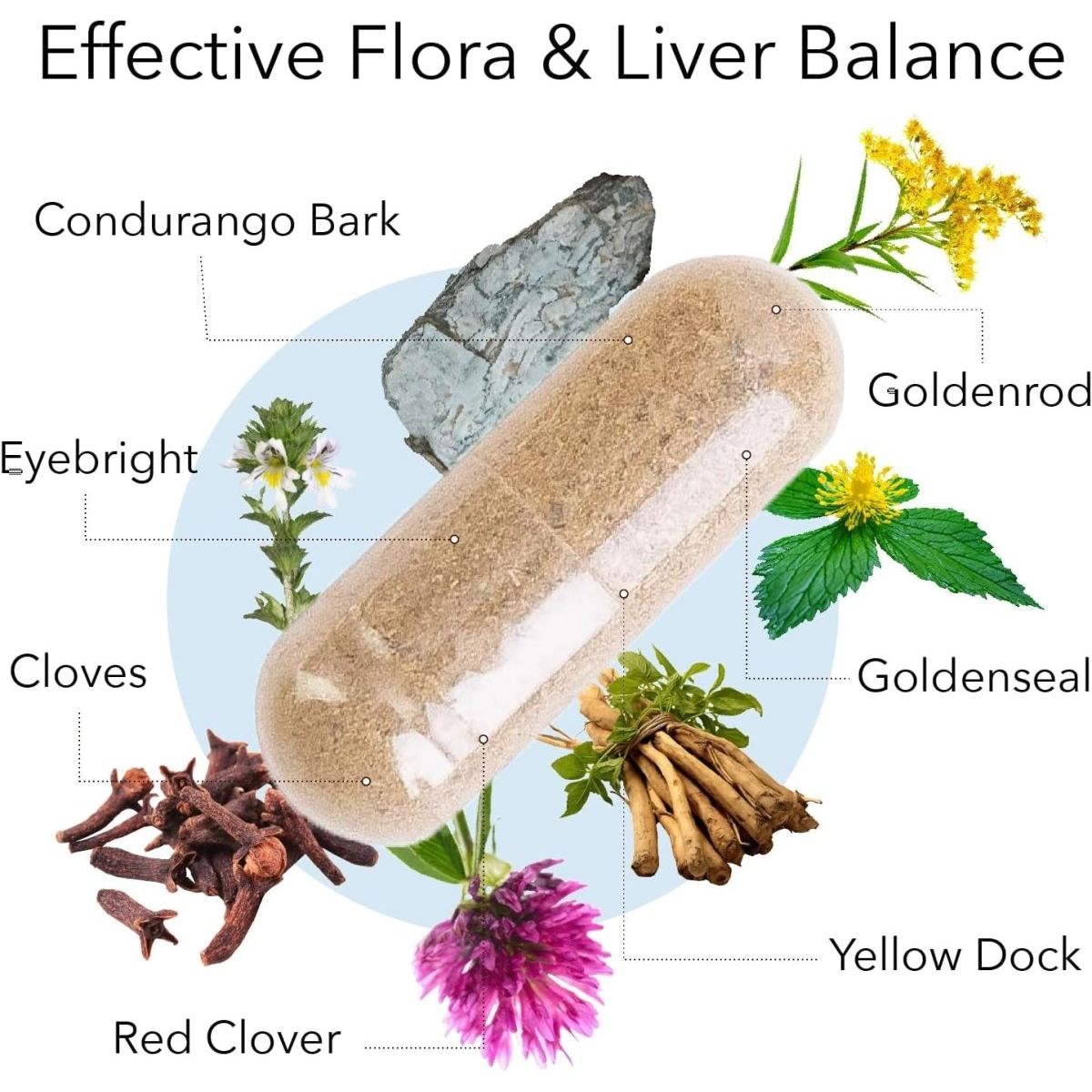 Kroeger Herb Candida Liver Care - 100 Capsules 1 PACK - Suppviv