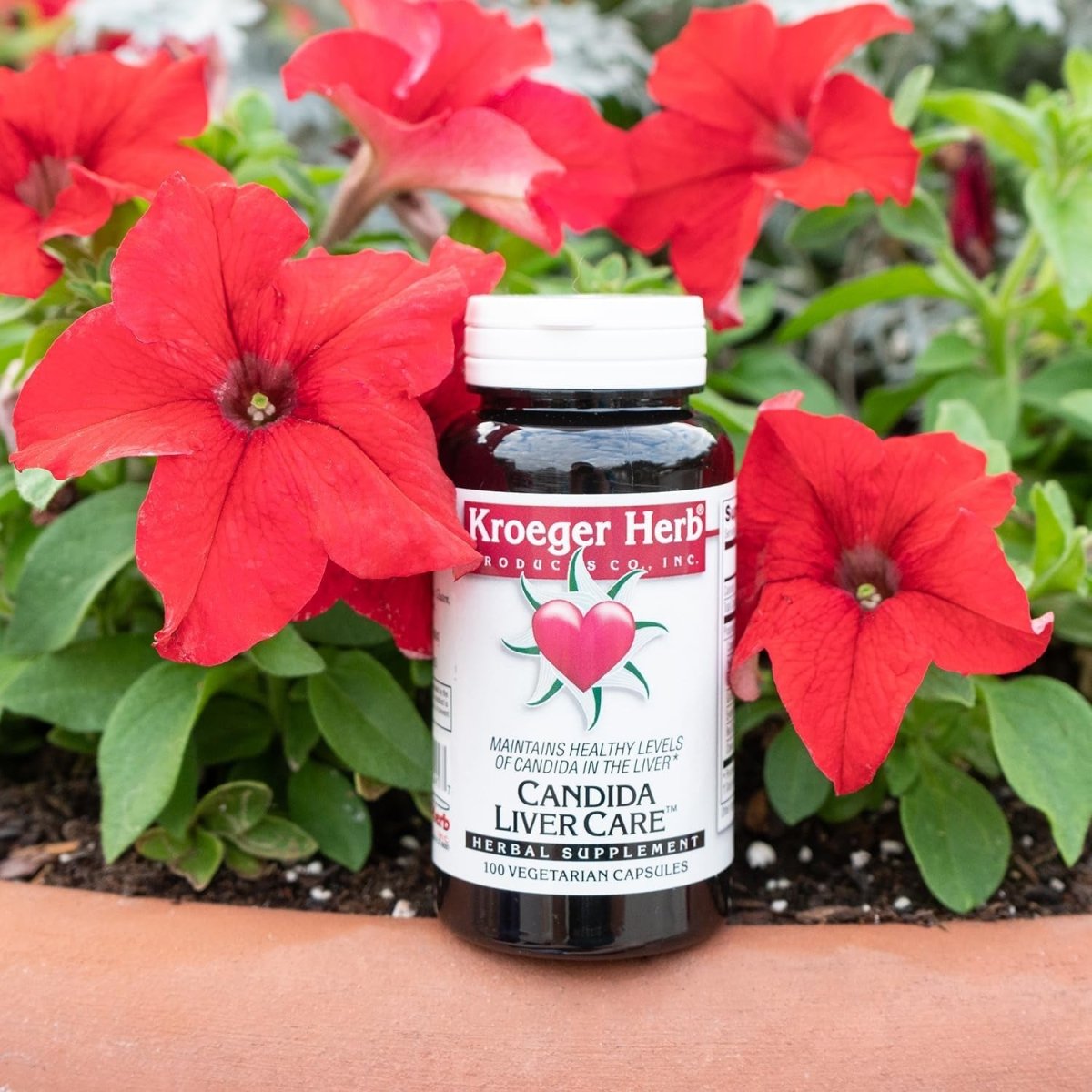 Kroeger Herb Candida Liver Care - 100 Capsules 1 PACK - Suppviv