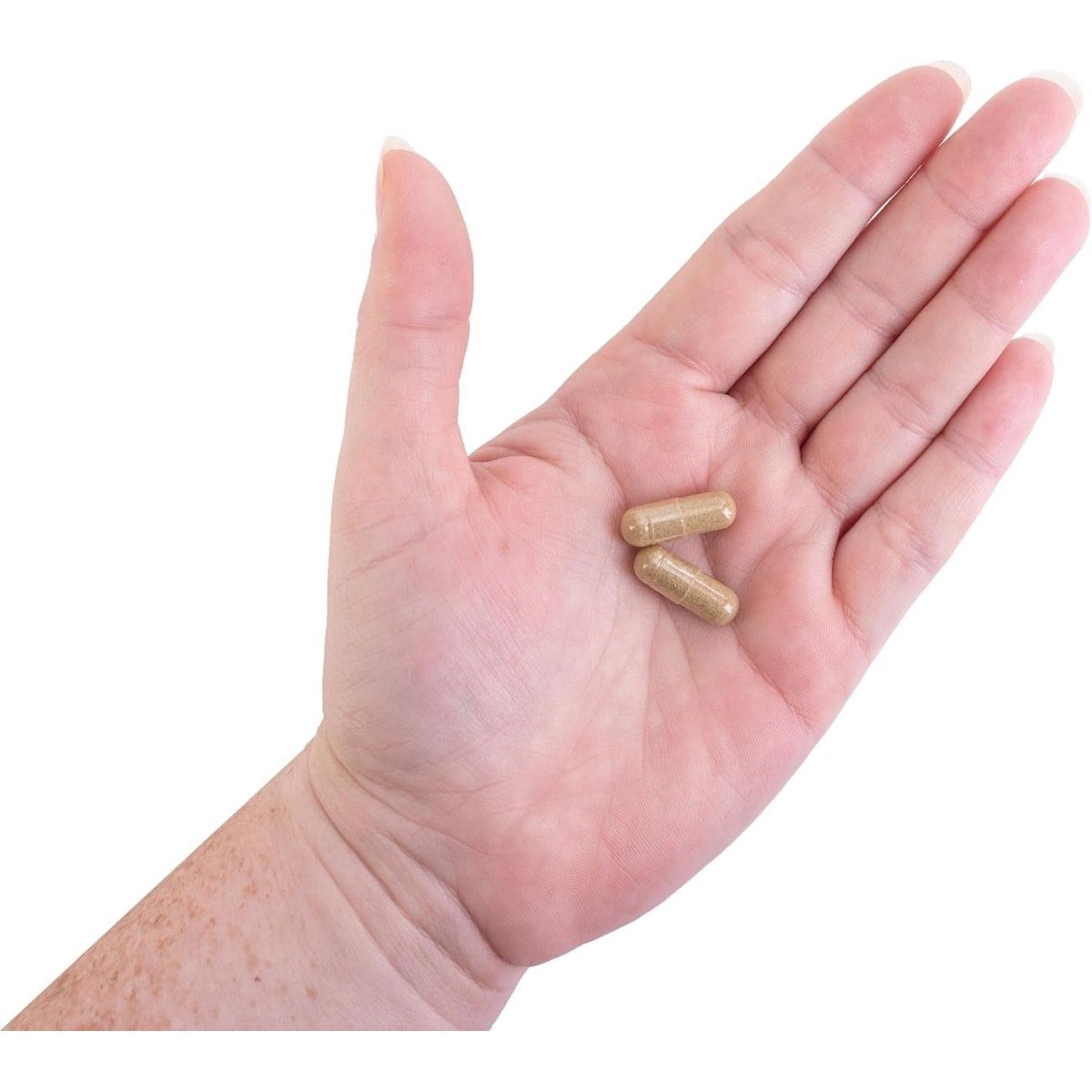 Kroeger Herb Candida Liver Care - 100 Capsules 1 PACK - Suppviv