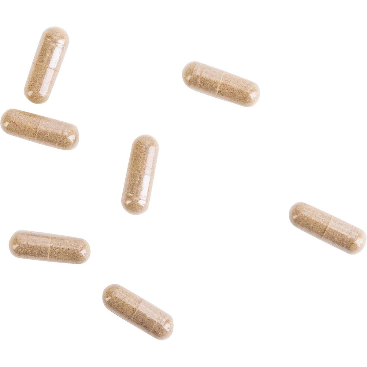 Kroeger Herb Candida Liver Care - 100 Capsules 1 PACK - Suppviv