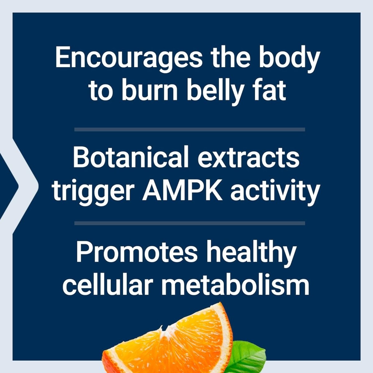 Life Extension AMPK Metabolic Activator, Fight Unwanted Belly Fat & Revitalize Cellular Metabolism 30 Count - Suppviv