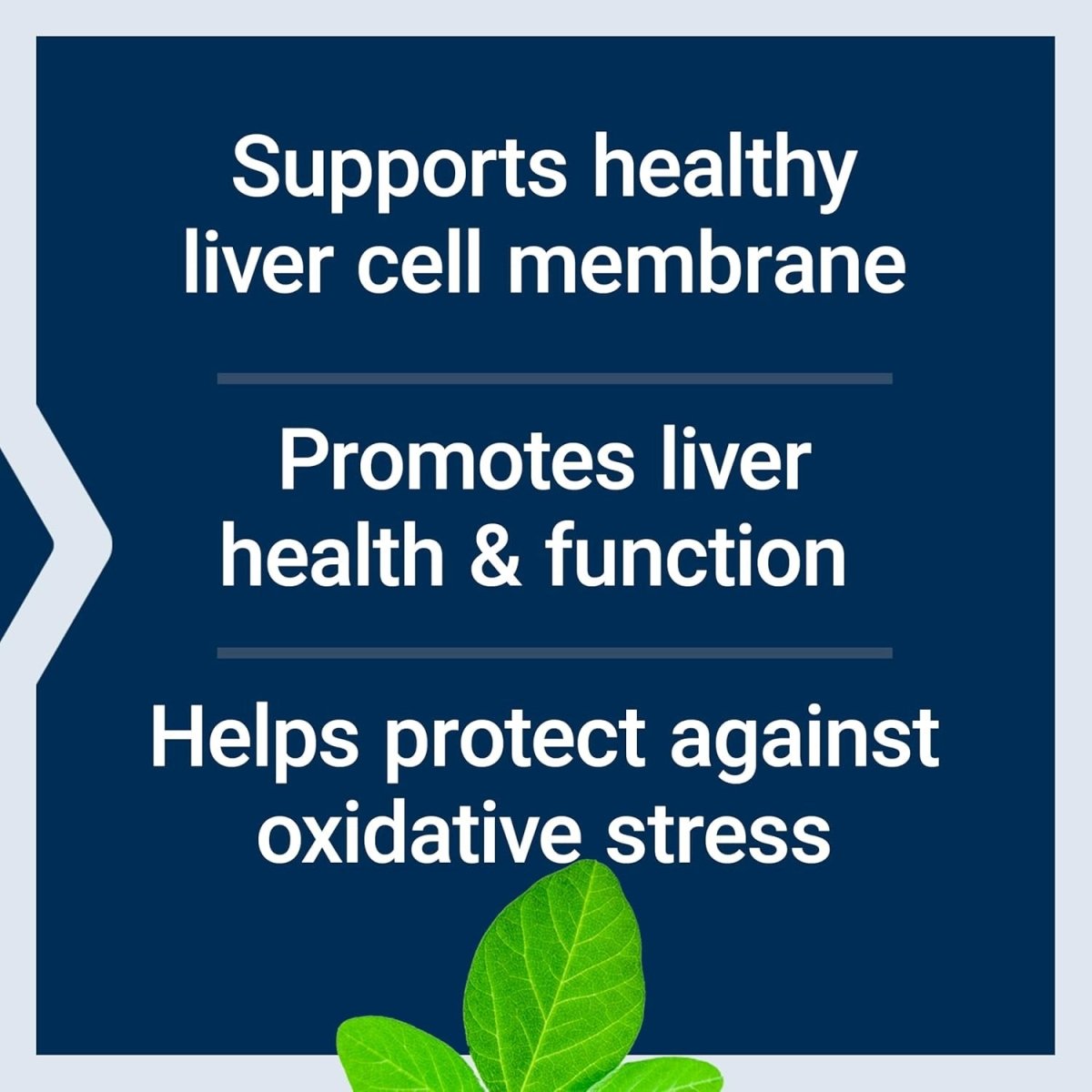 Life Extension Hepatopro | Supports a Healthy Liver and Detoxification, (60 Softgels) - Suppviv
