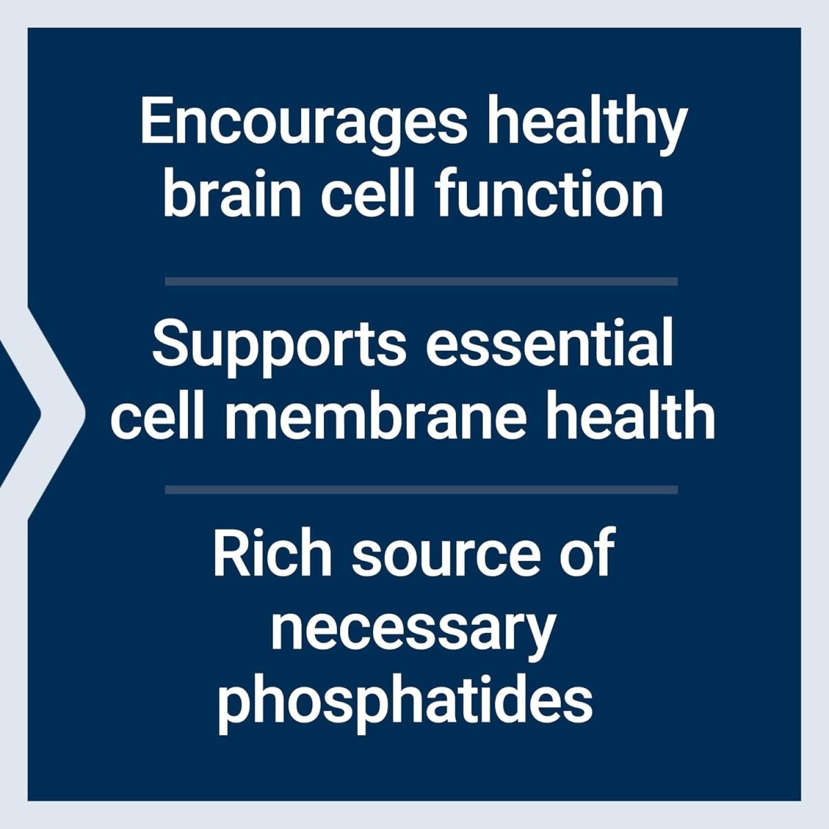 Life Extension Lecithin, Promotes Healthy Cell Structure and Function in the Brain, 454 Grams - Suppviv