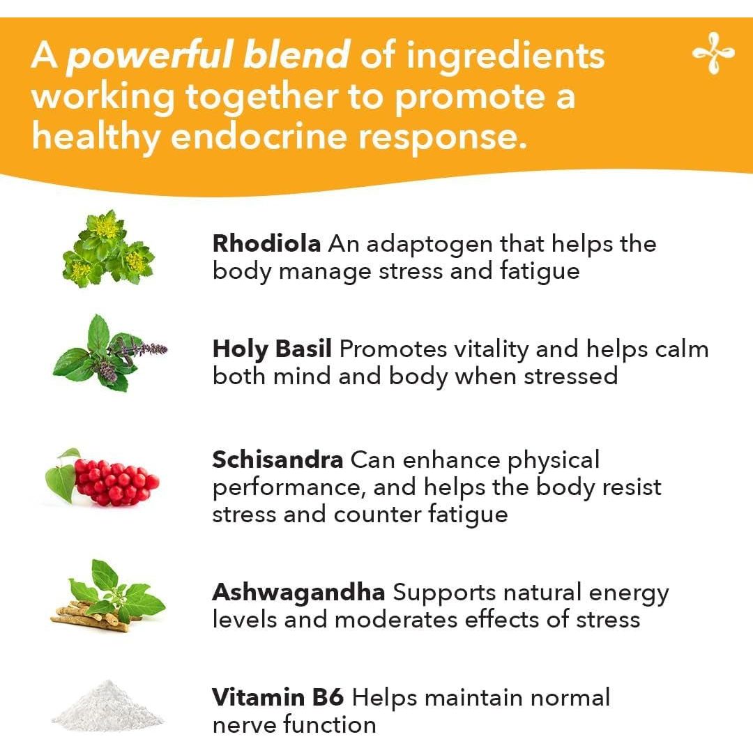 Lifeseasons - Adrenal - T - Adrenal Fatigue Support Supplement - 60 Capsules - Suppviv