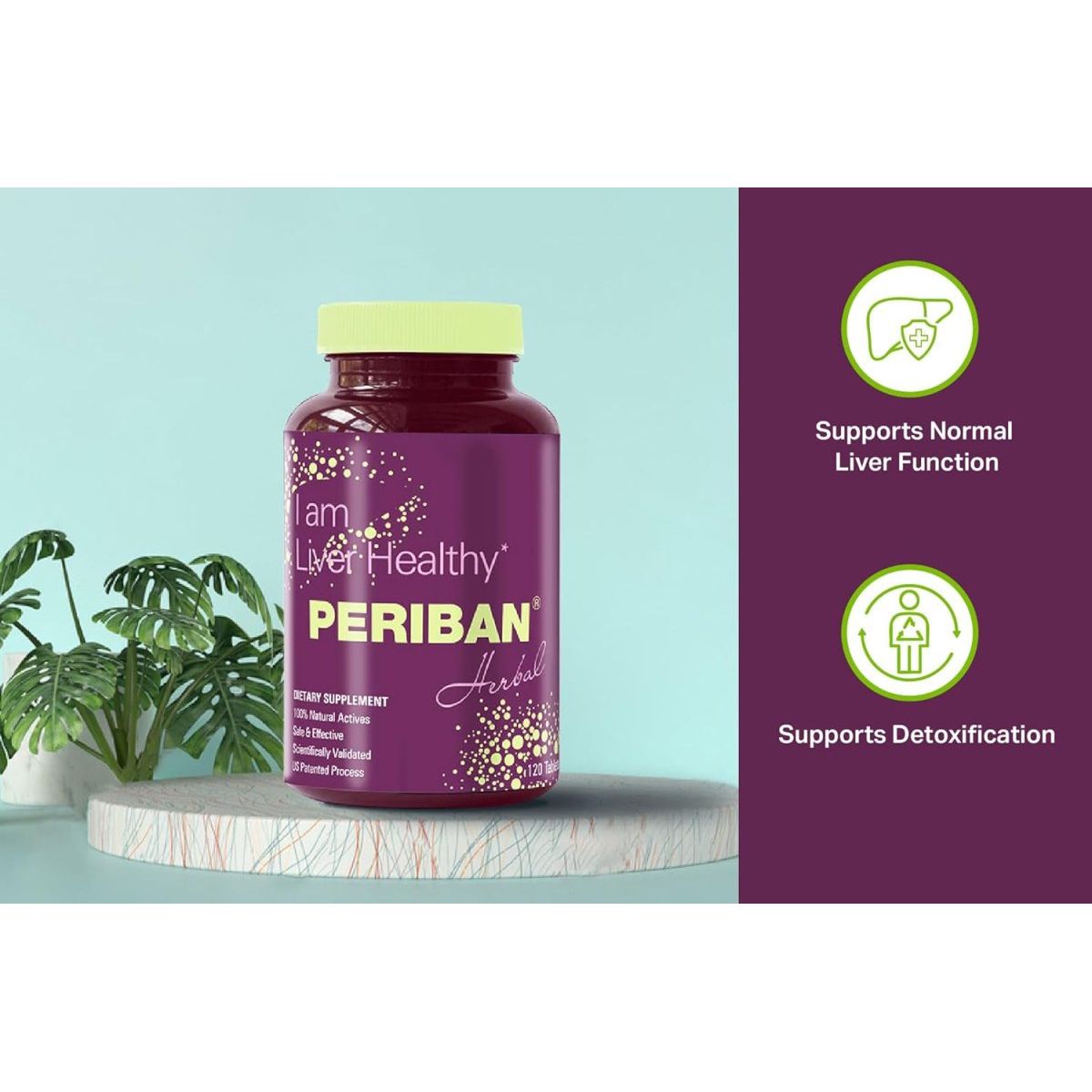 Liver Support - Support the Body'S Natural Liver Functions and Immune Health - Suppviv