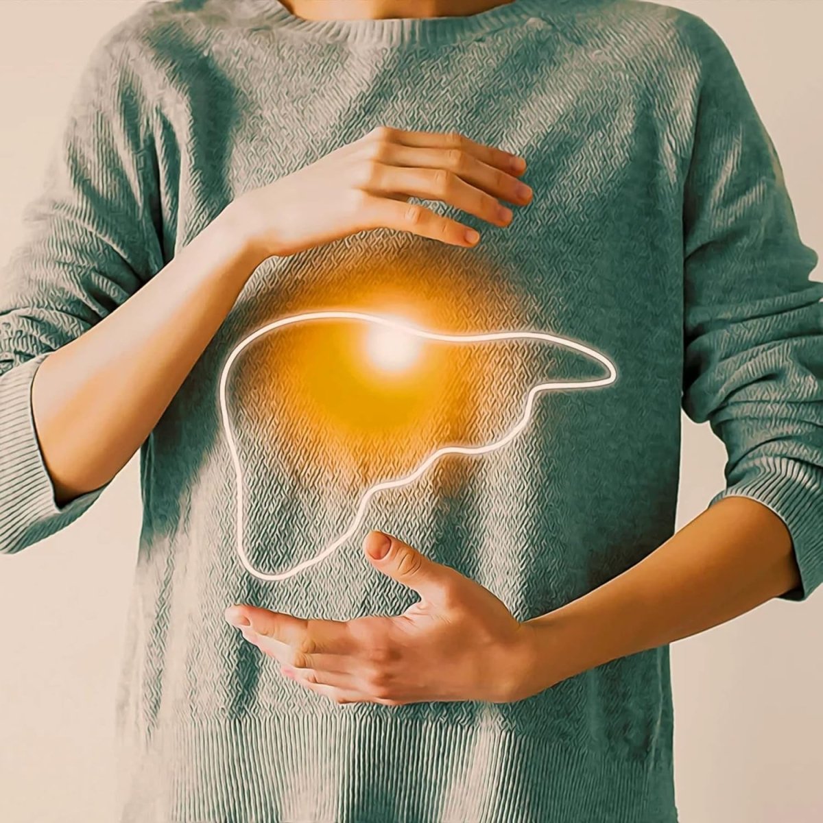 MICHAEL'S Health Naturopathic Programs Liver Wellness - 90 Vegetarian Tablets - Suppviv