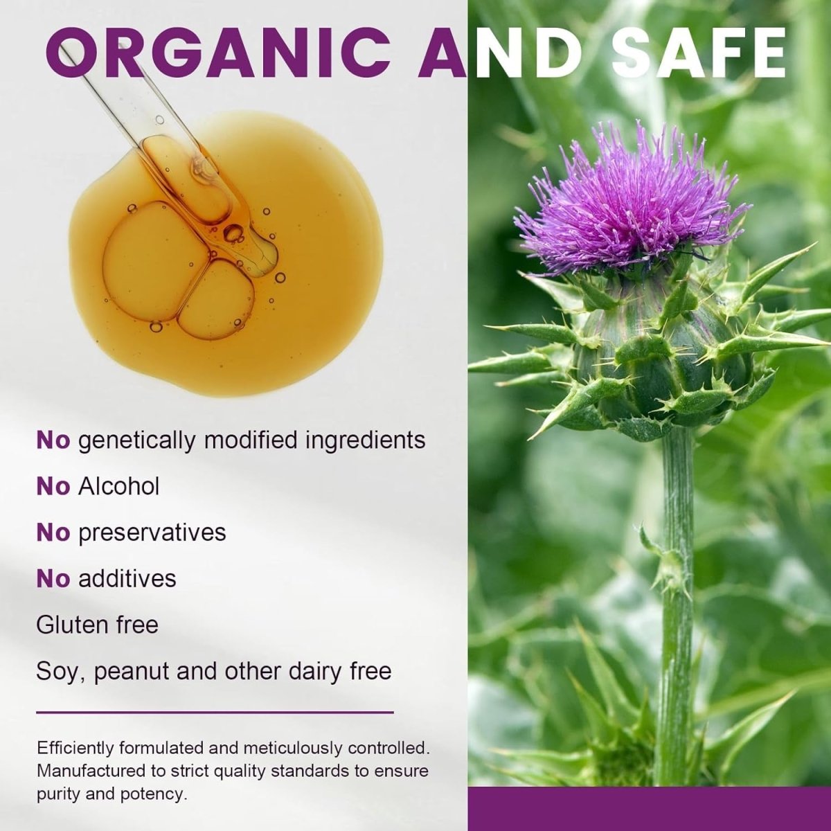 Milk Thistle Supplement for Liver Cleanse Detox & Repair (1 Pack, 1 Fl Oz) - Suppviv