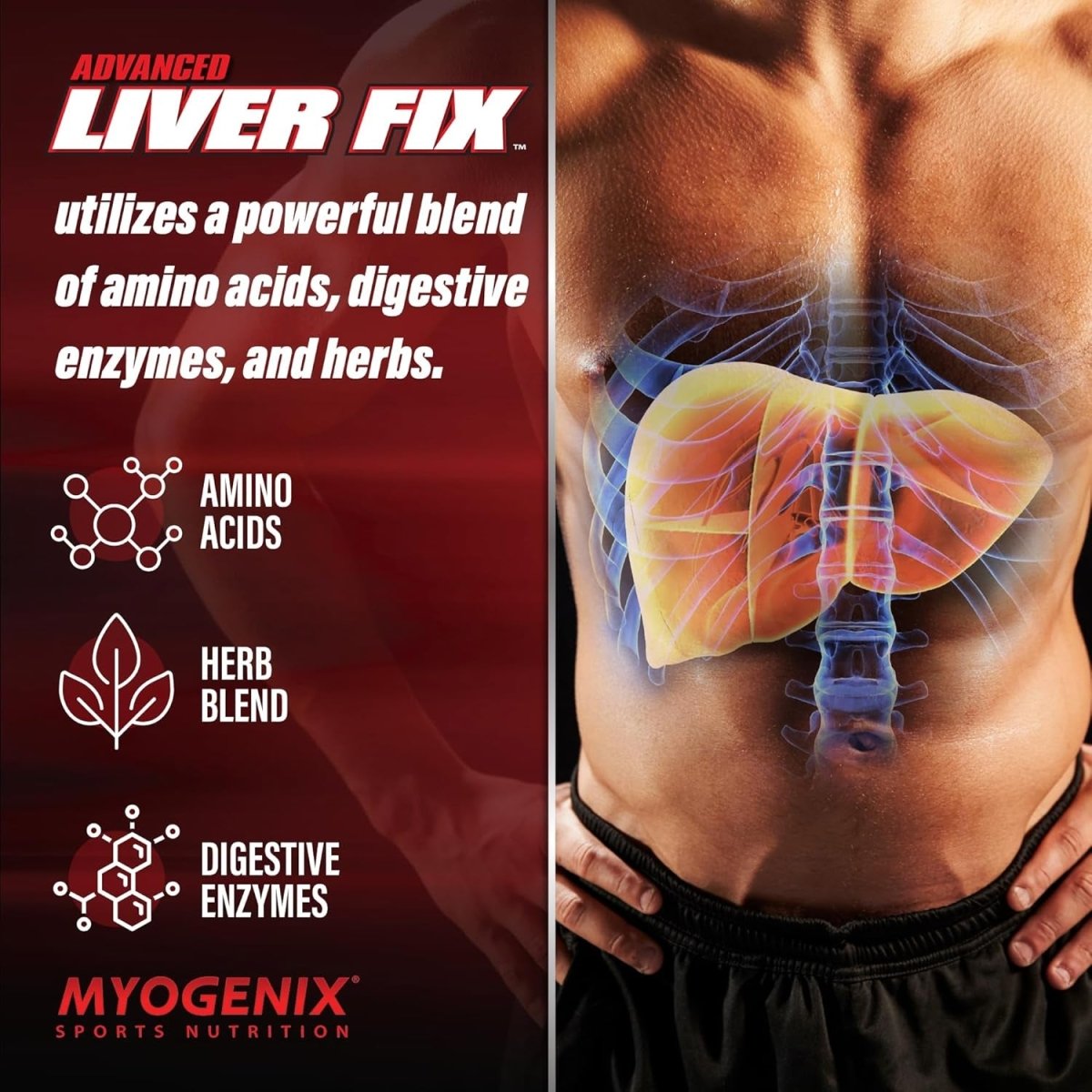 Myogenix Advanced Liver Support Capsules (120 Capsules) - Suppviv
