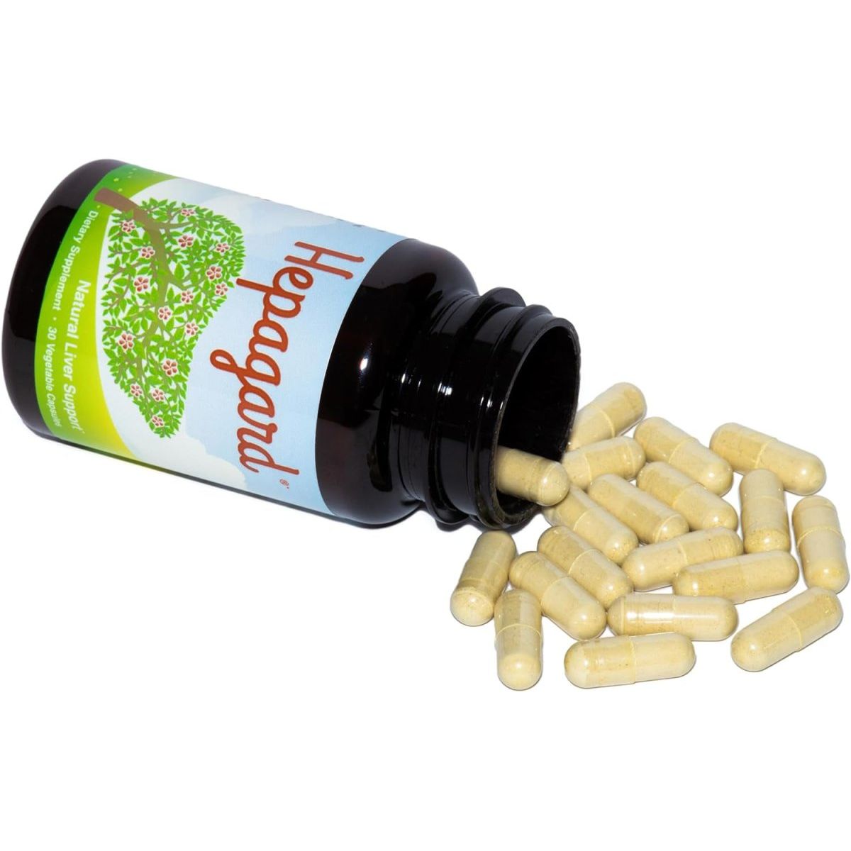 Natural Liver Support Supplement Capsule with N - Acetyl Cysteine 1 PACK - Suppviv