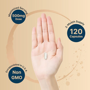 Naturebell Citicoline Supplements, CDP Choline, Citicoline 500Mg plus Tyrosine 50Mg per Serving 120 Capsules, 2 in 1 Formula - Suppviv