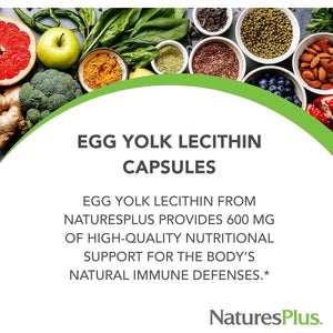 Natures plus Egg Yolk Lecithin 600Mg 180 Capsules - Suppviv